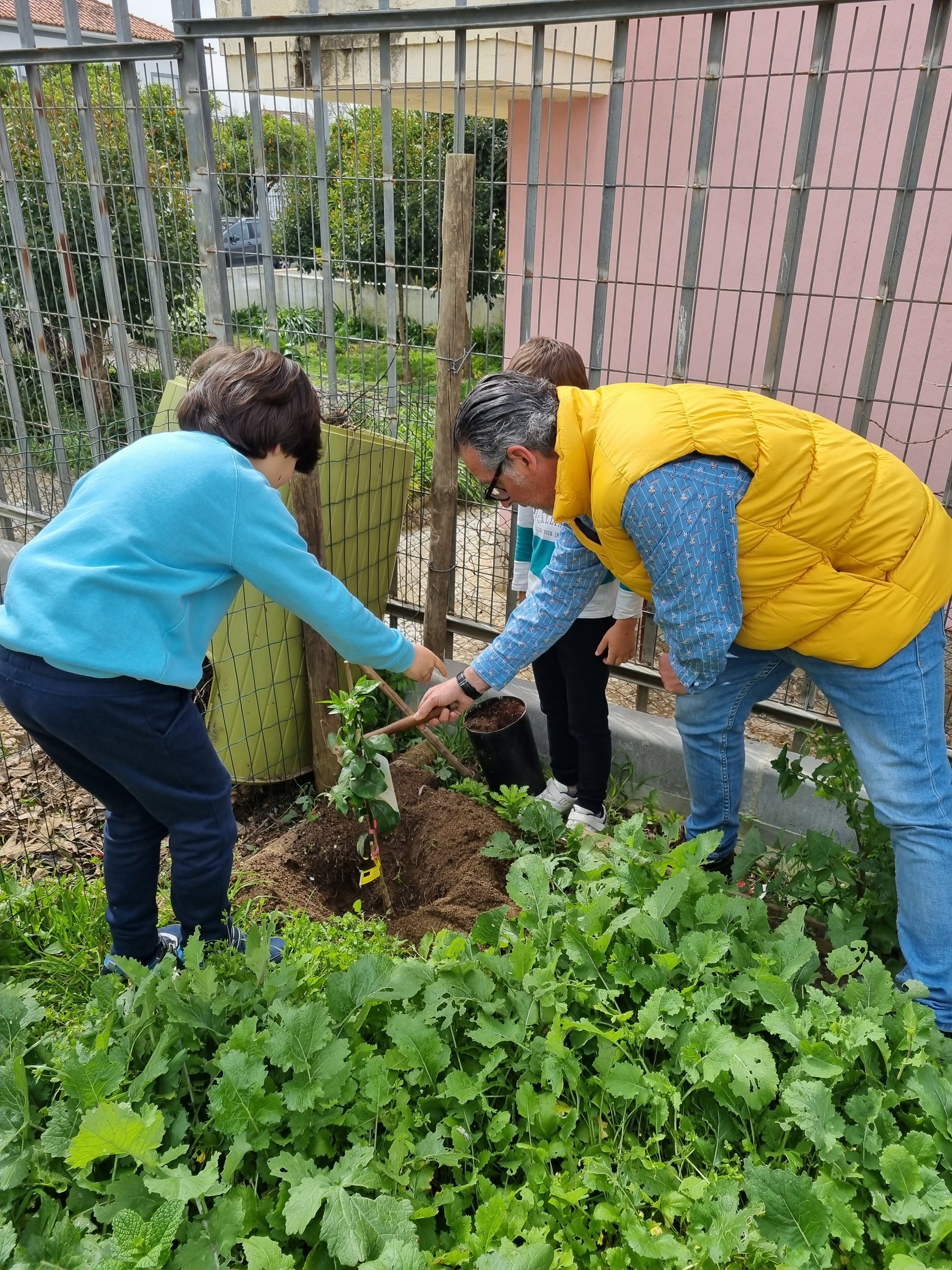 Plantação de uma tangerineira no Dia da Árvore e no Dia Internacional das Florestas.