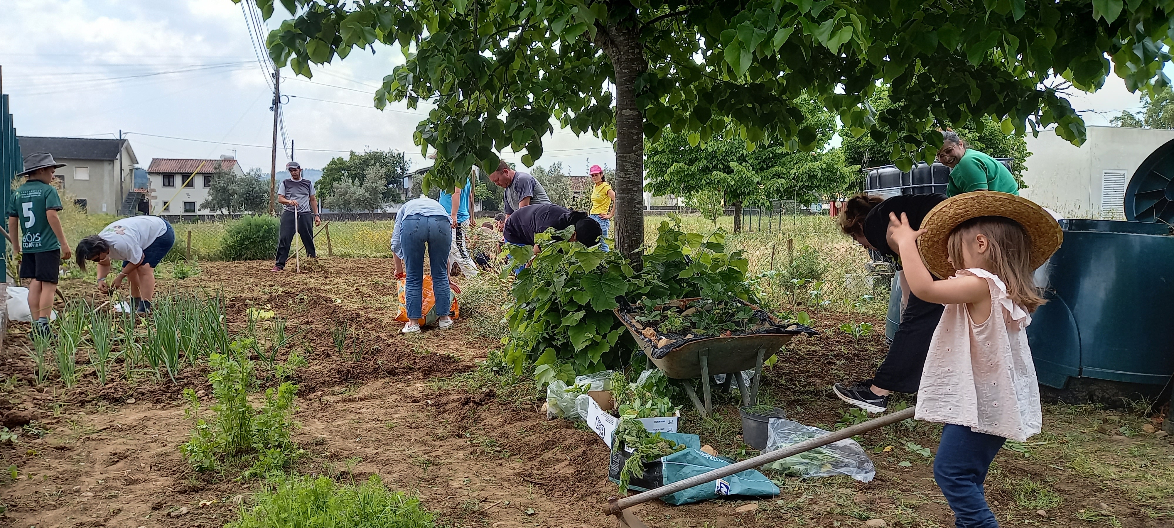 A erva também cresceu na Horta Bio. As famílias organizaram-se e em conjunto ajudaram a revitalizá-la retirando as ervas daninhas e plantando novos produtos. As crianças participaram ativamente nesta atividade.
