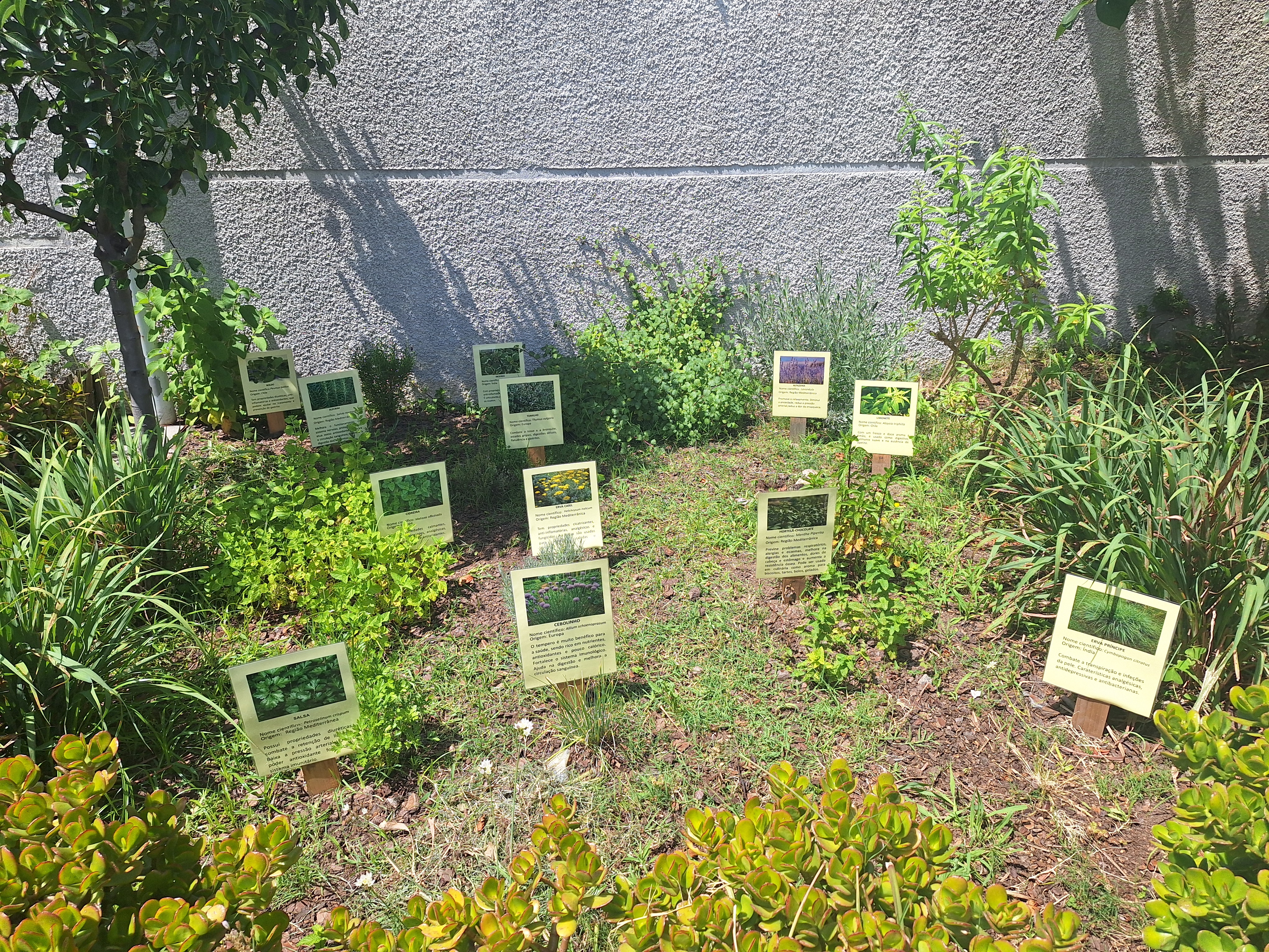 Aspecto geral da horta com identificação das respetivas plantas.