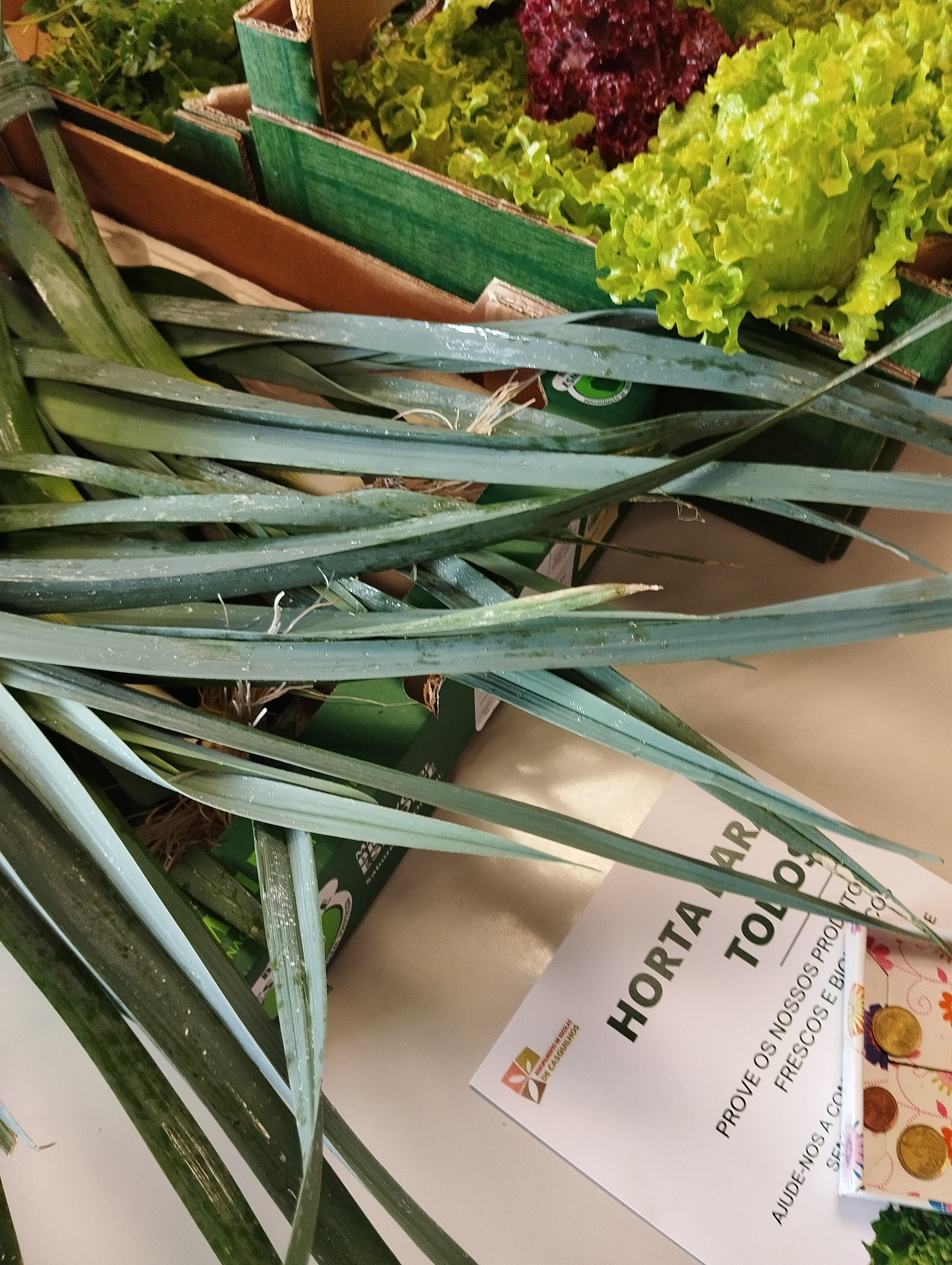 Com o intuito de dar a saborear os produtos biológicos da horta, por sugestão de alguns professores, teve início a partilha dos mesmos com a comunidade escolar e, simultaneamente, a recolha de donativos para adquirir novas plantas e sementes.