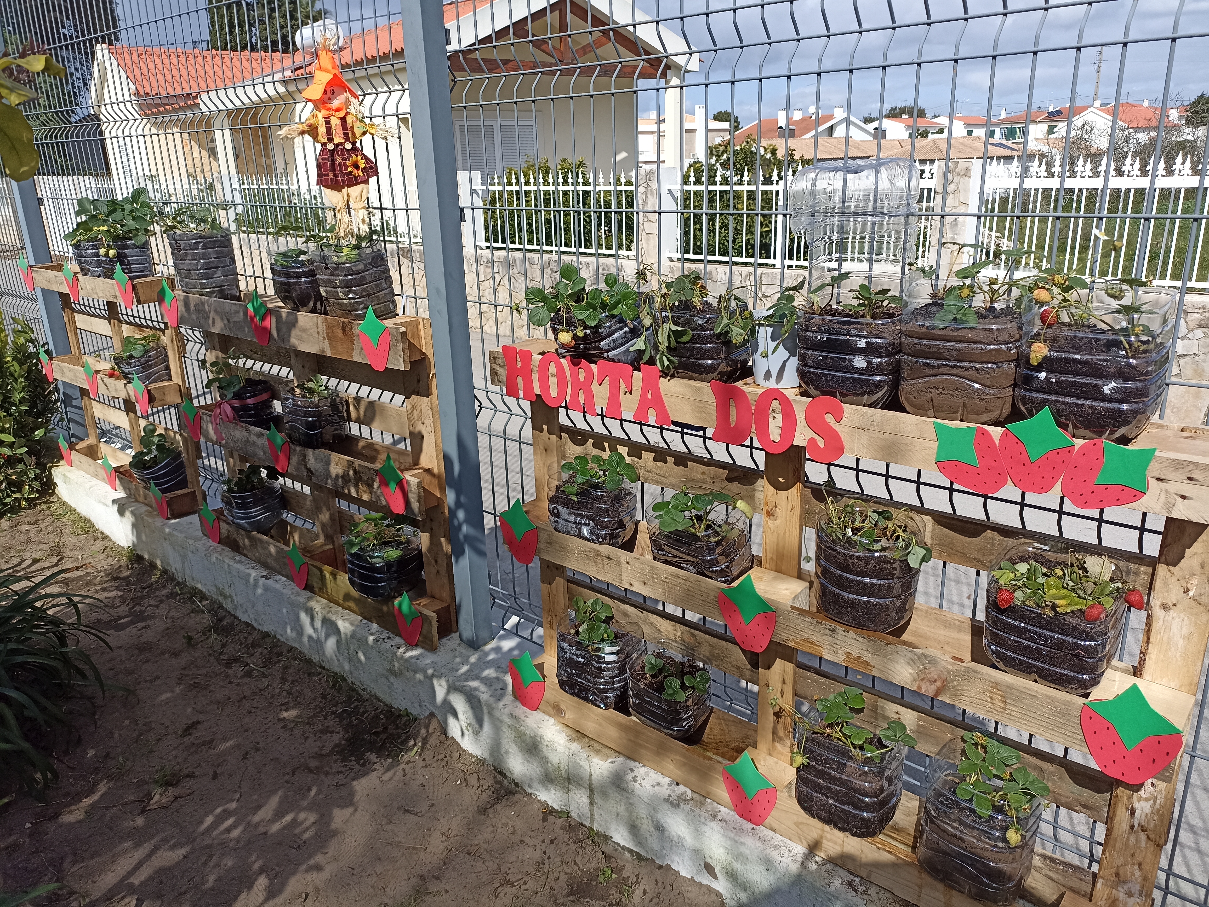 Plantamos morangos
