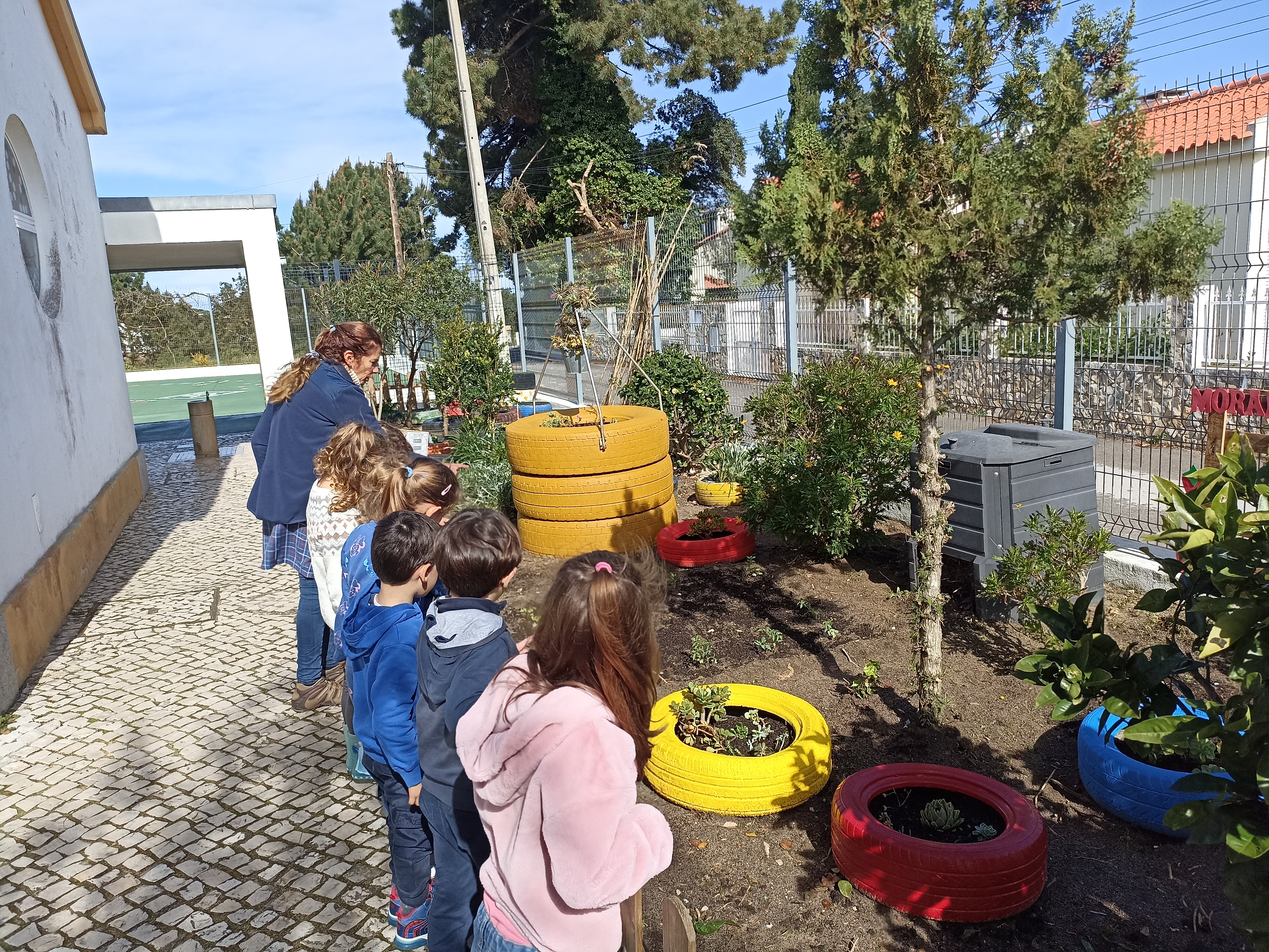 Vimos todos os dia à horta ver se os nossos produtos estão a crescer