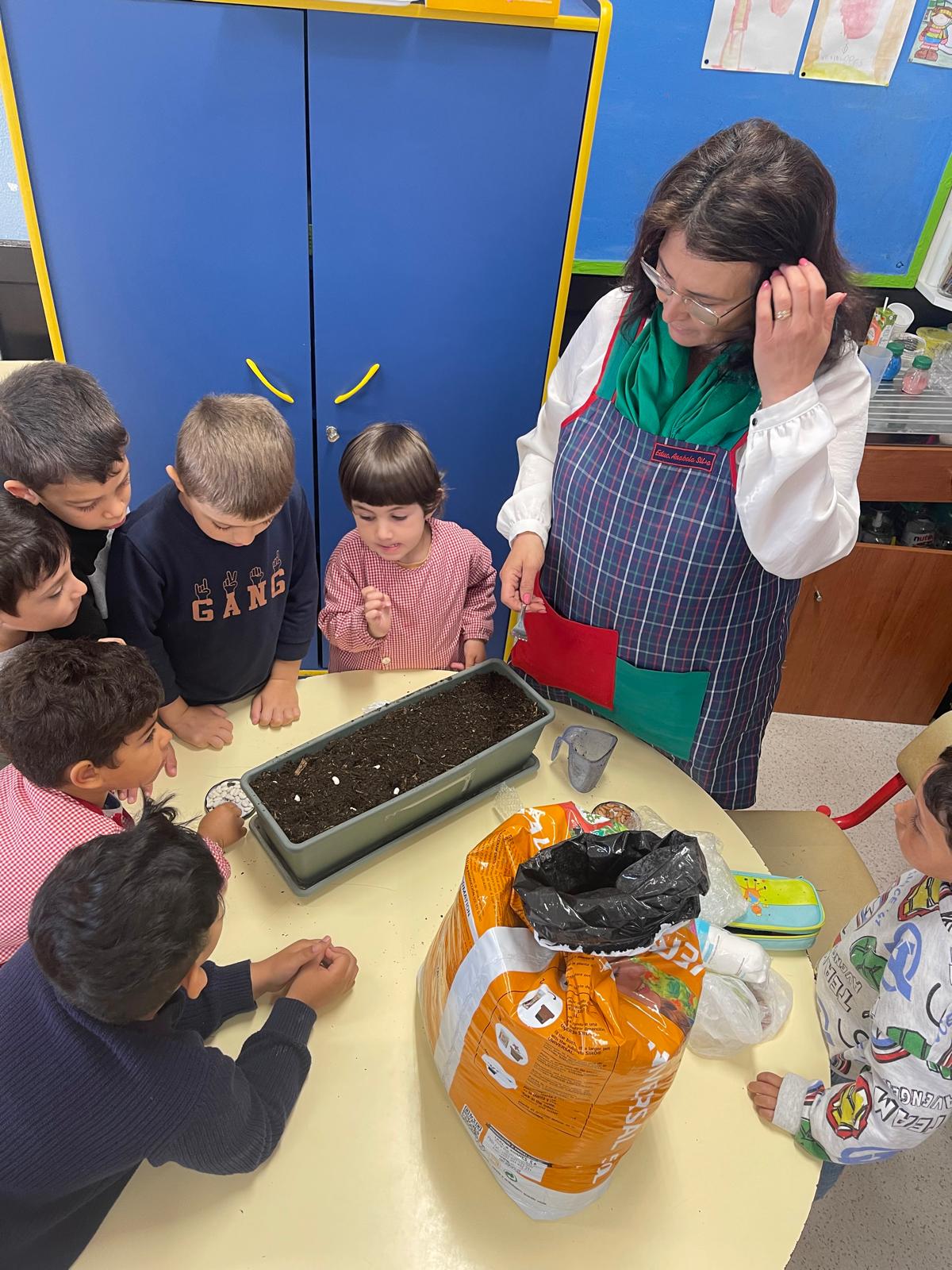 Na sala segue a aula sobre a germinação e todos experimentam...plantar a sua sementinha.