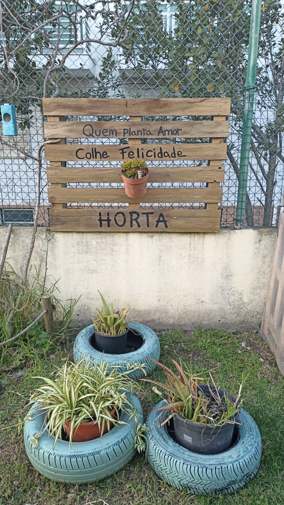 Detalhe Horta 1.º Ciclo (estado inicial)