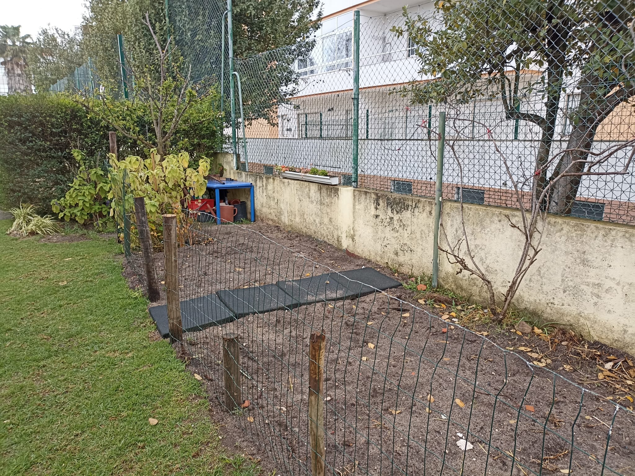 Vedação Horta (1.º Ciclo)
