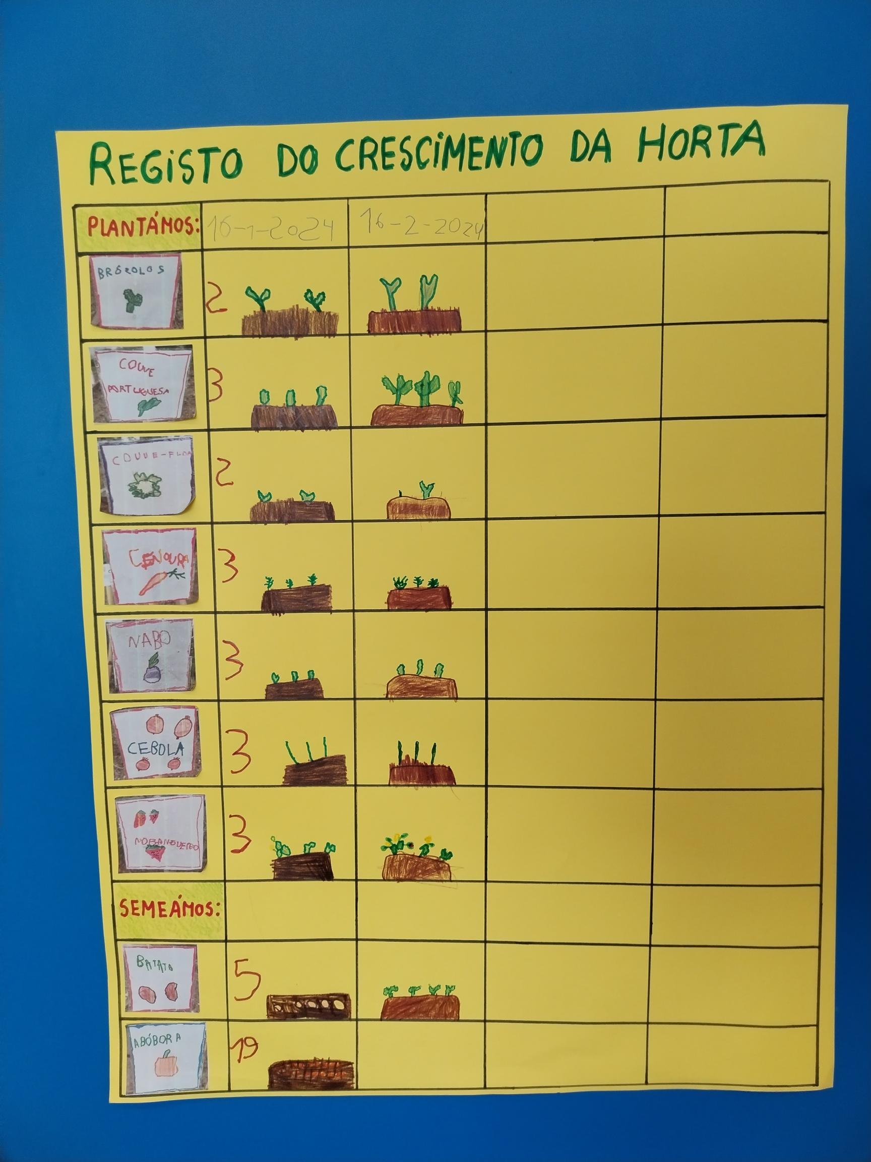 Acompanhamos o desenvolvimento das nossas plantações.