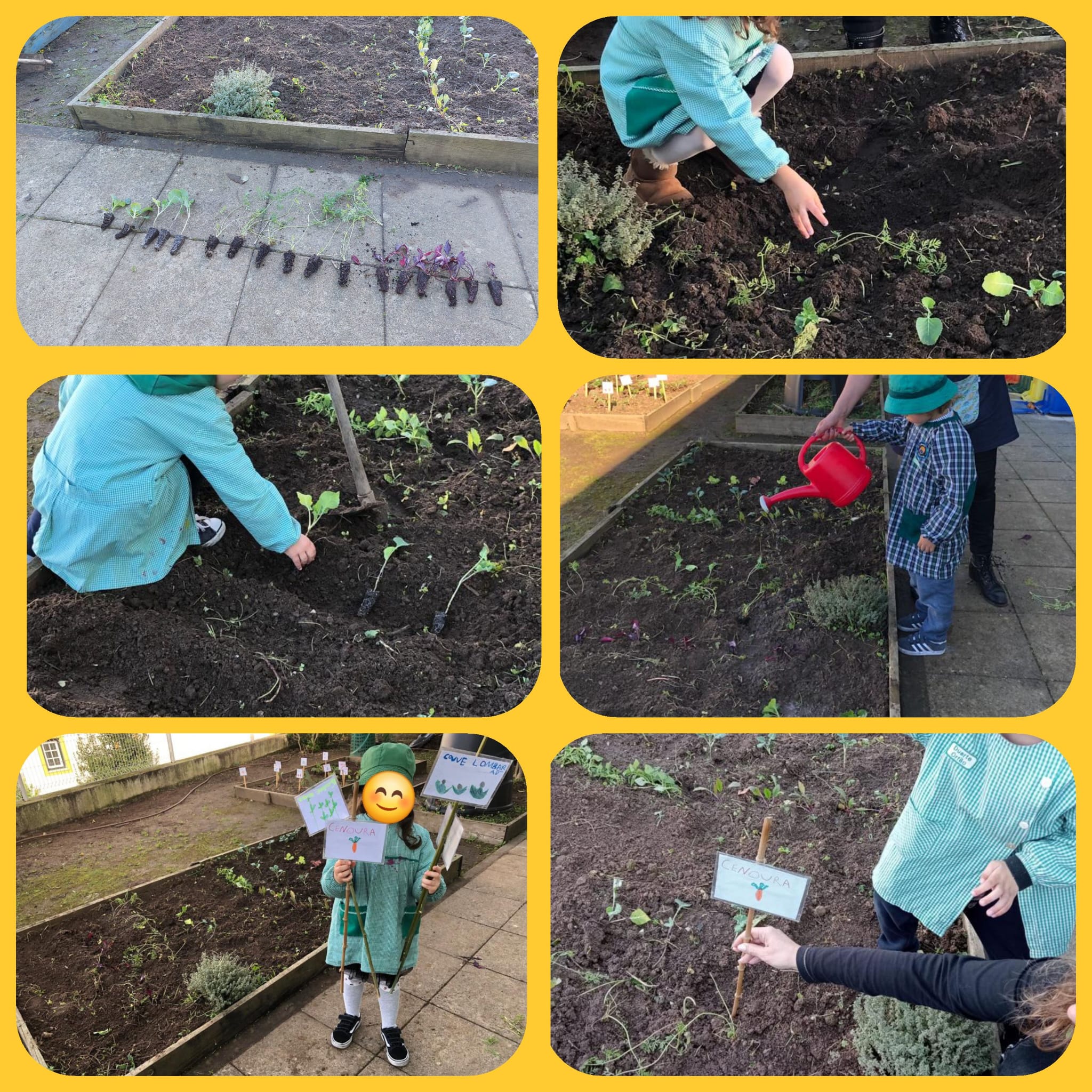 Plantação de legumes.