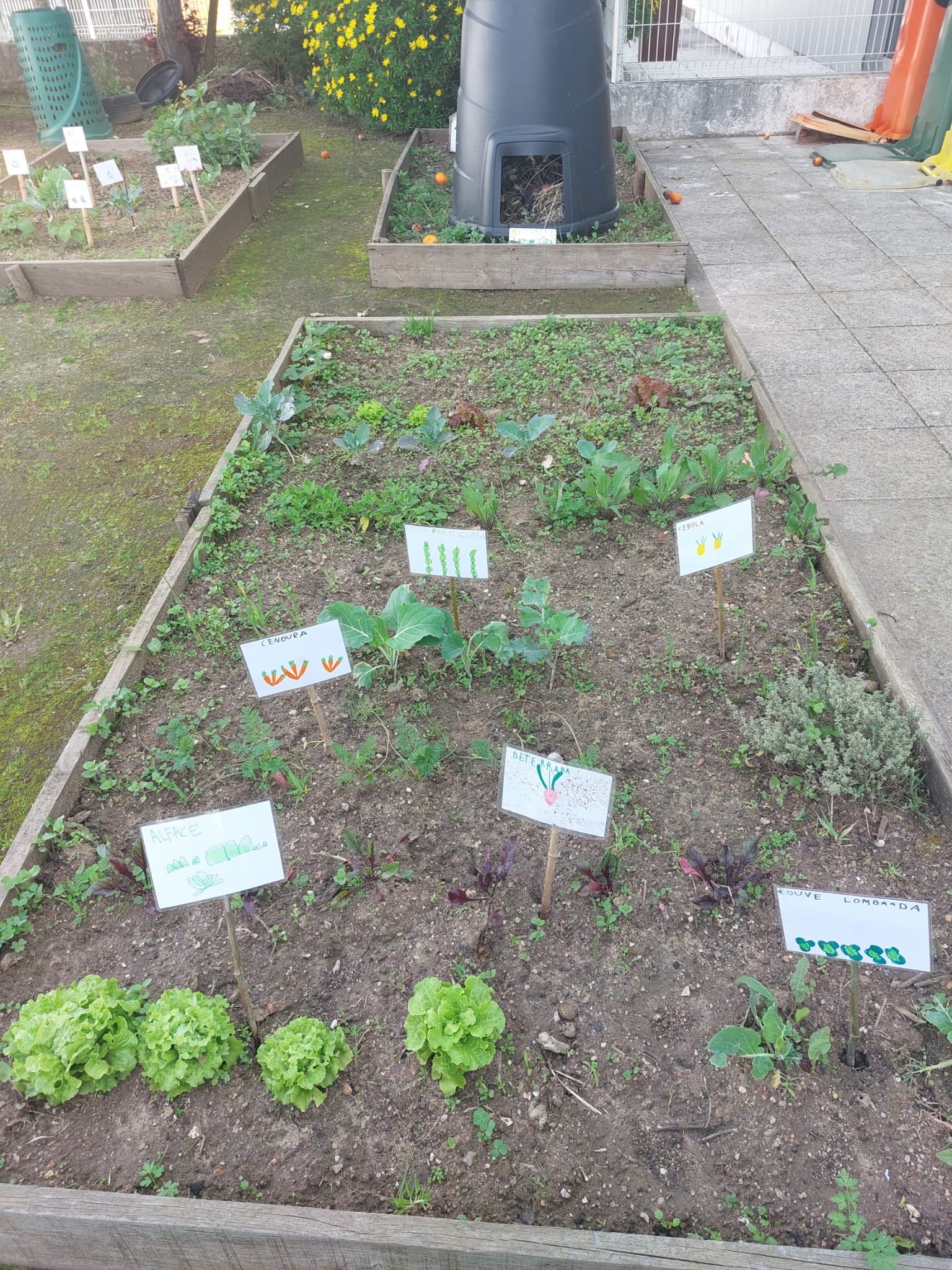 Diferentes produtos hortícolas.