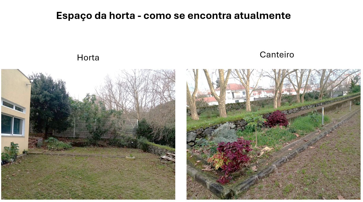 A nossa horta, nesta altura, passou por uma fase de paragem devido à remodelação, estando a aguardar a chegada de terra e composto.