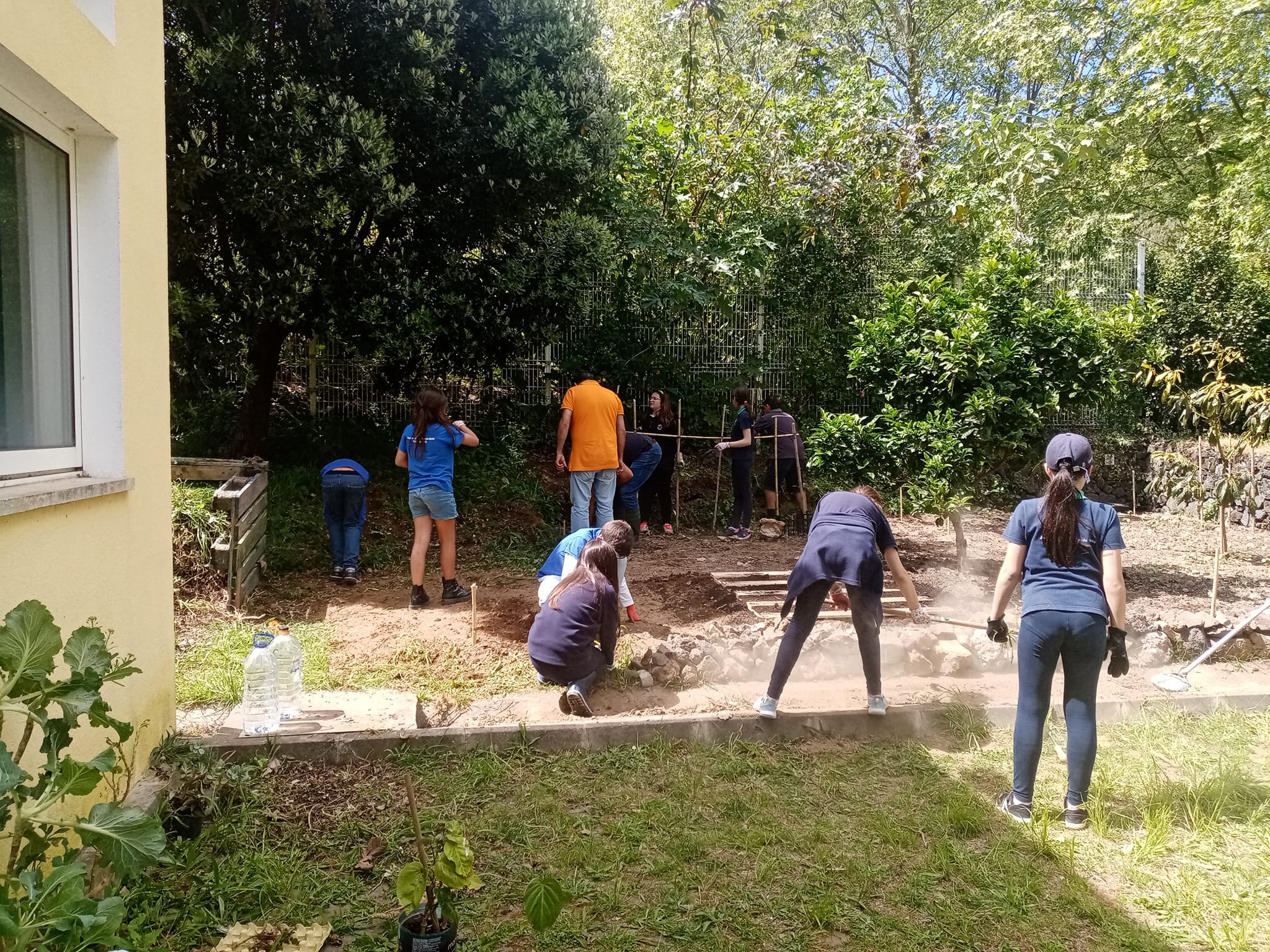 Retorno à horta depois da remodelação 4 - início dos plantios
