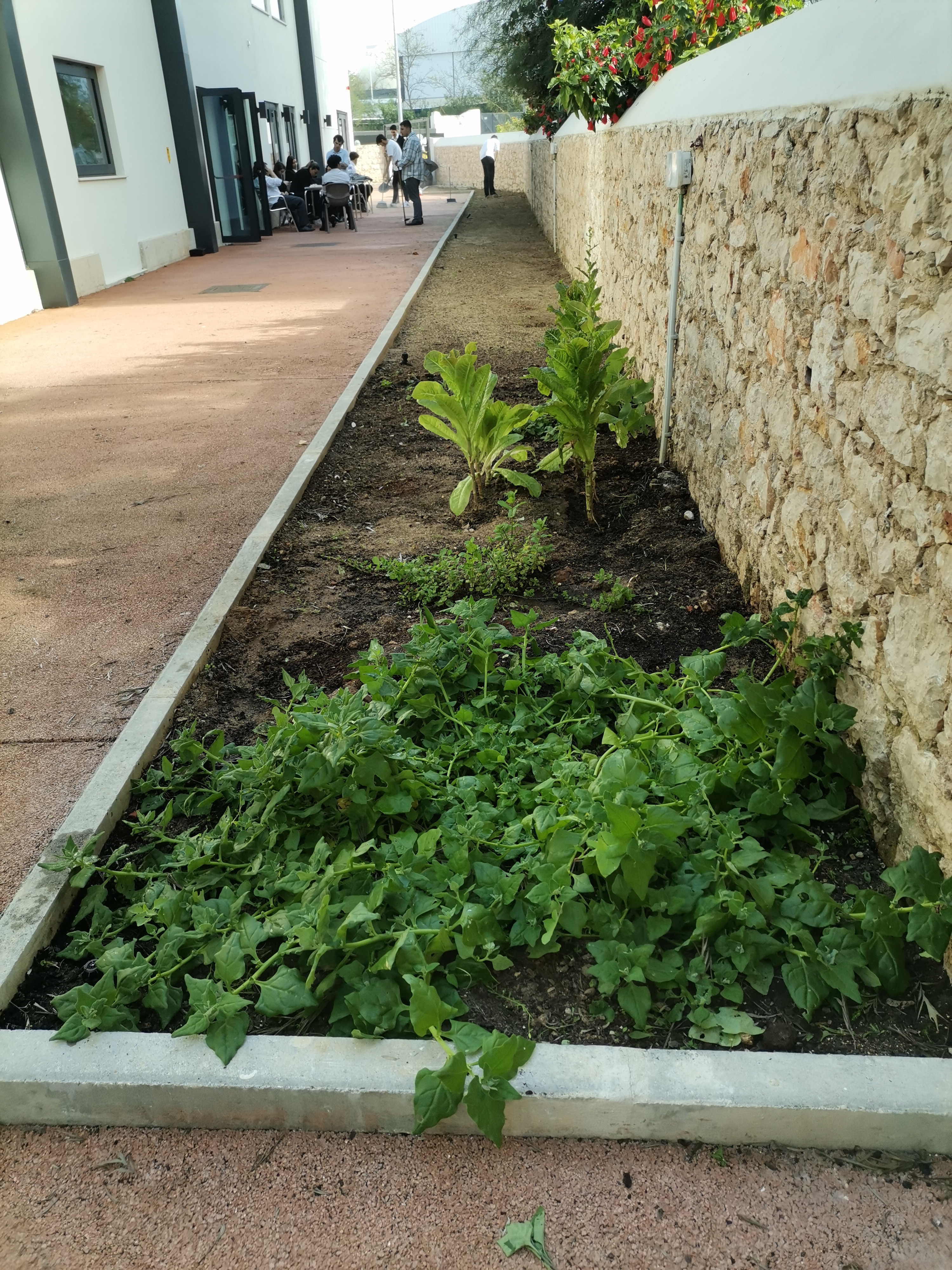 O espaço limpo parece outro!
Parabéns pelo trabalho!