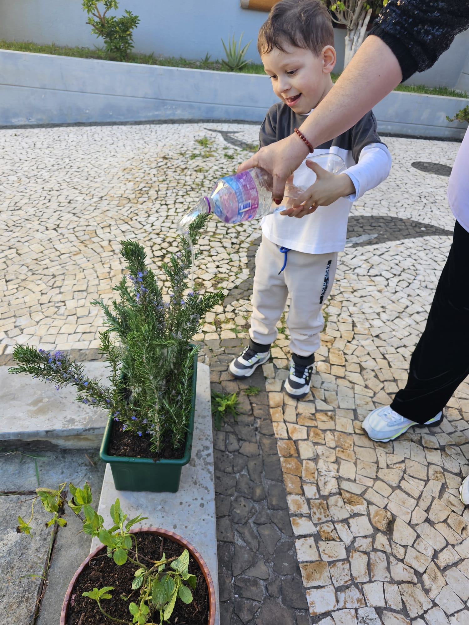 Rega das plantas realizada por uma criança.