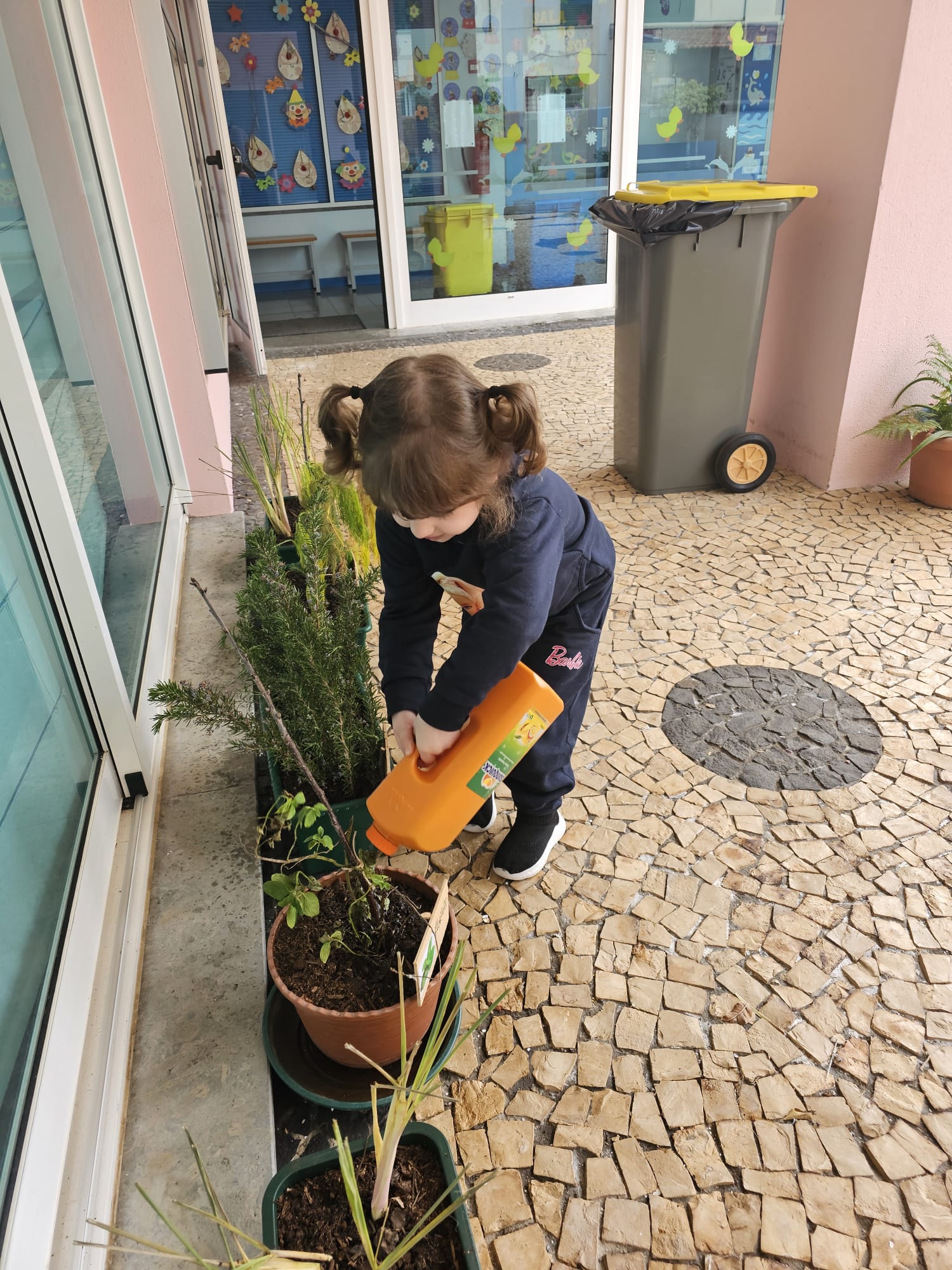 Rega das plantas por uma criança.