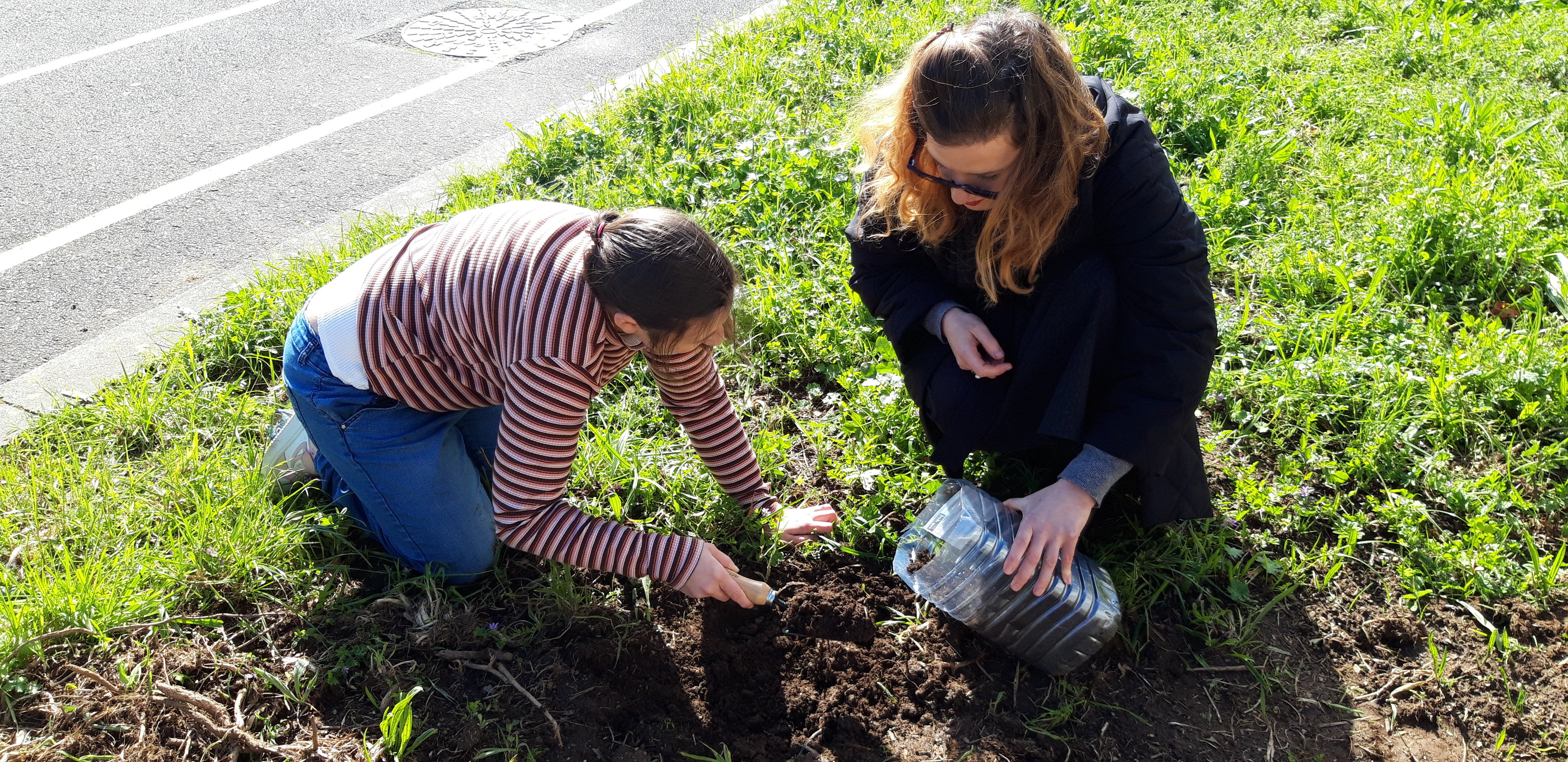 Meios para sementeira fora do terreno.