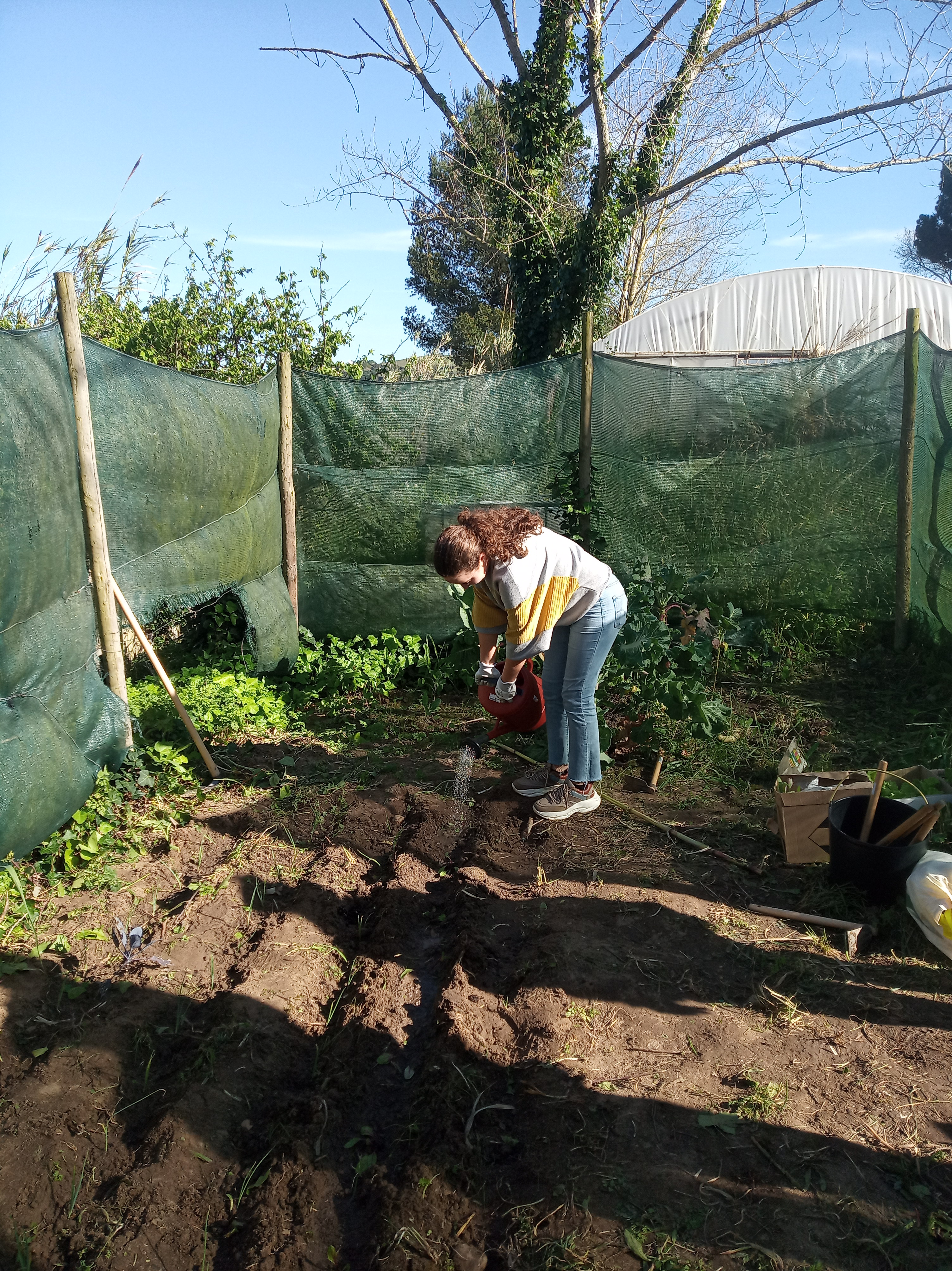 Acompanhamento das plantas