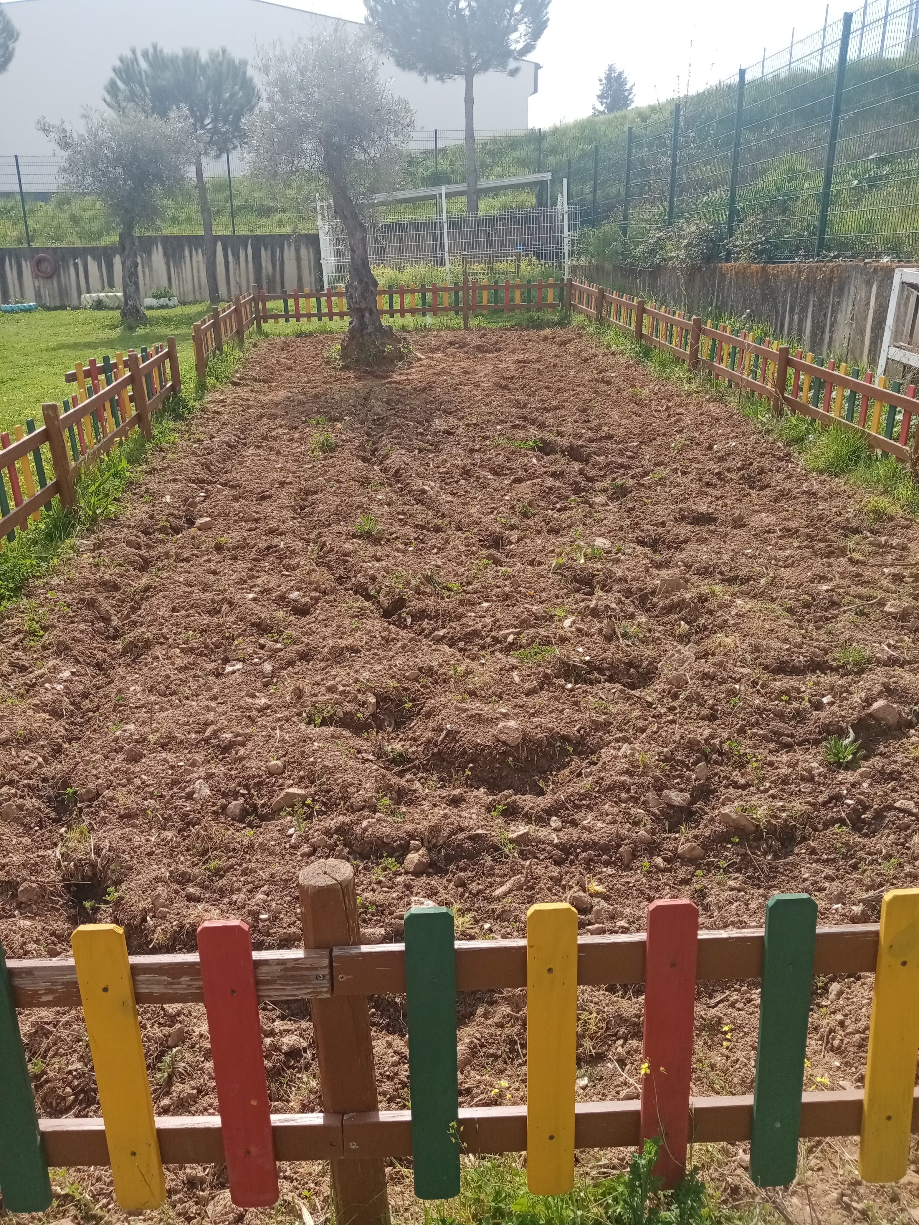 Horta biológica, preparação da terra para posterior sementeira e plantio, erradicação de ervas daninhas e retirada de pedras.