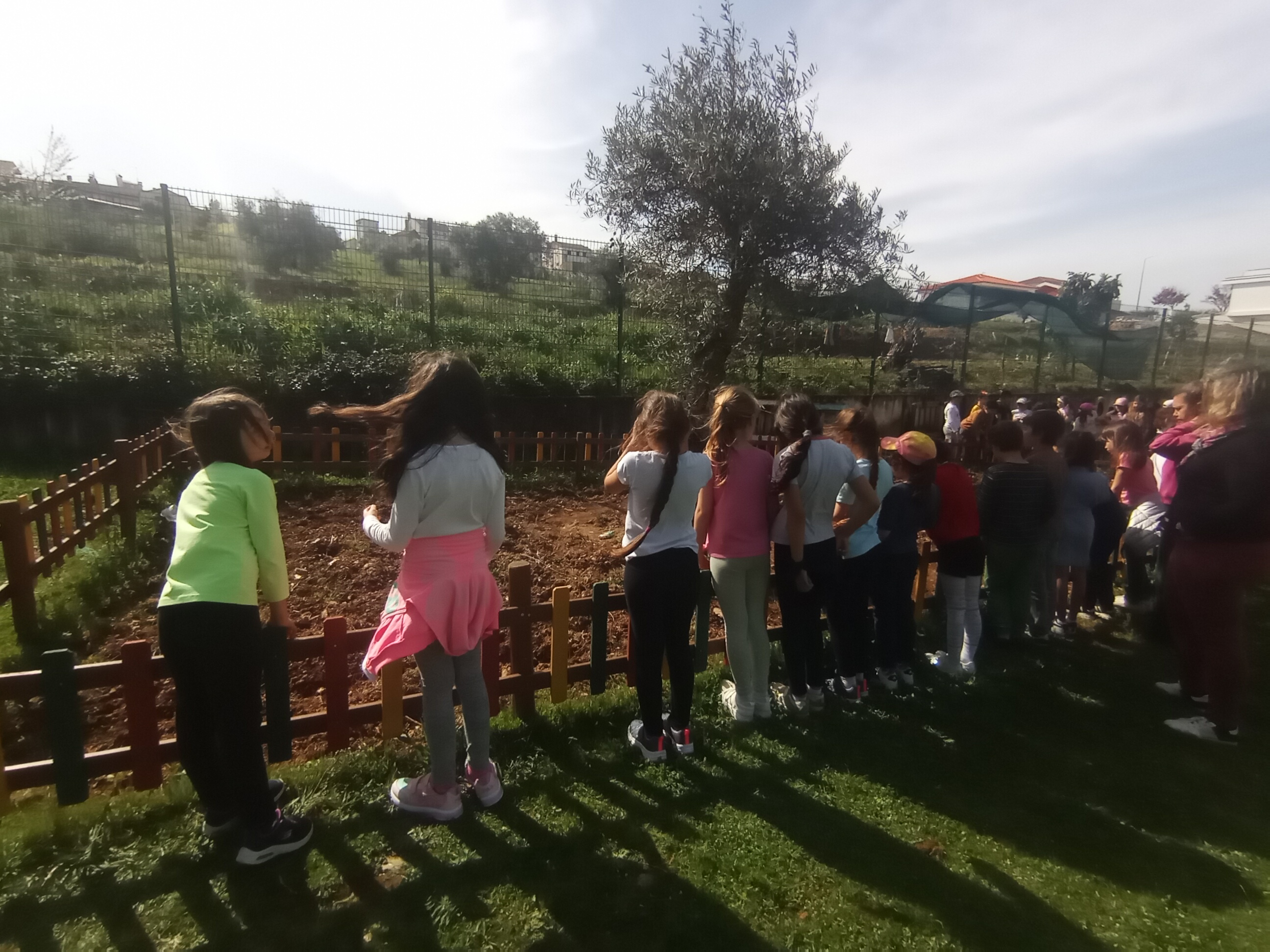 Cálculo da área da horta para divisão pelas turmas da EB1 e pré escolar.