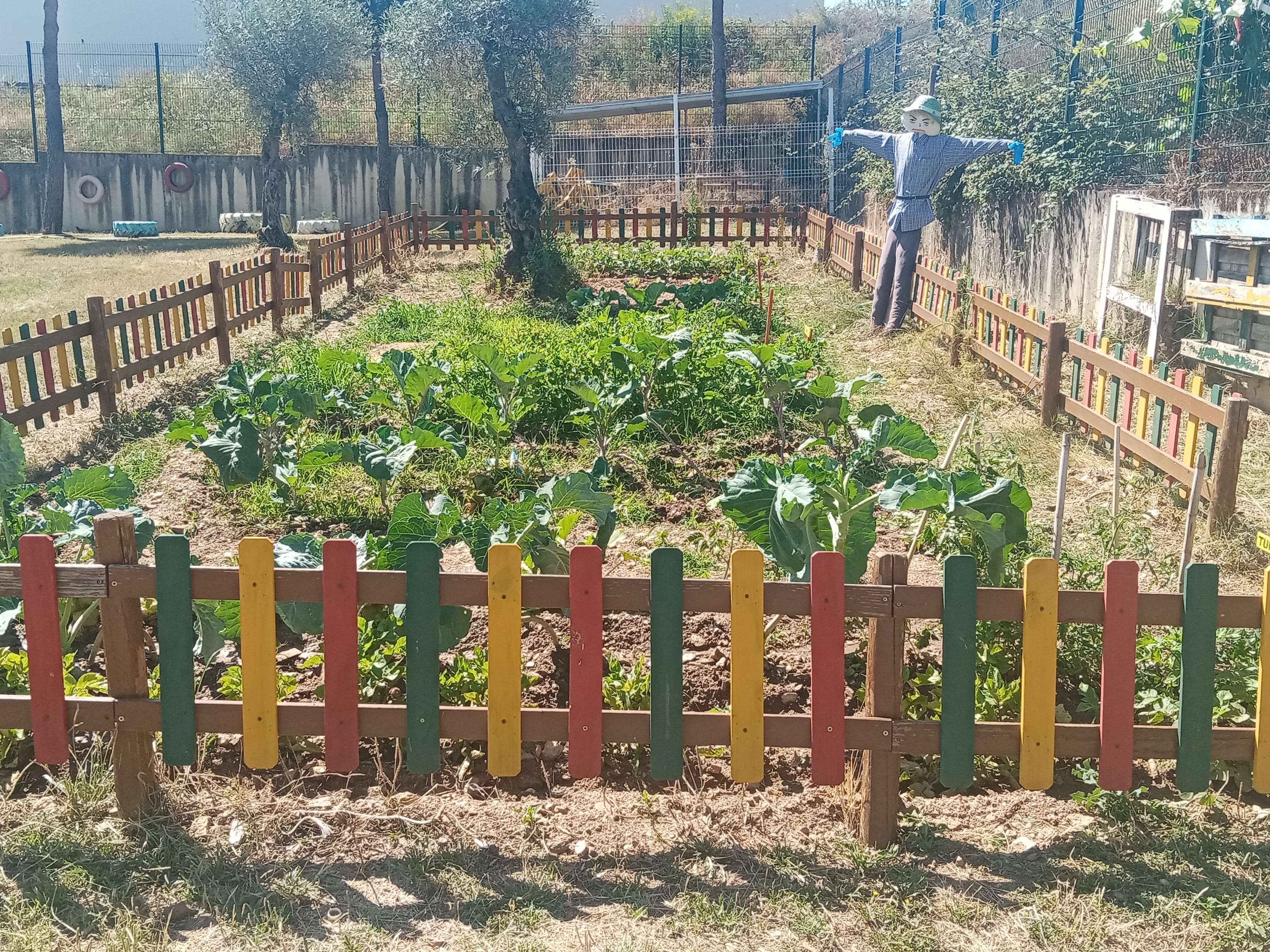 Horta no mês de maio
