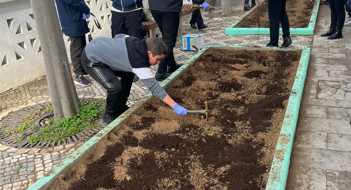 Fertilização e Mobilização Superficial do solo