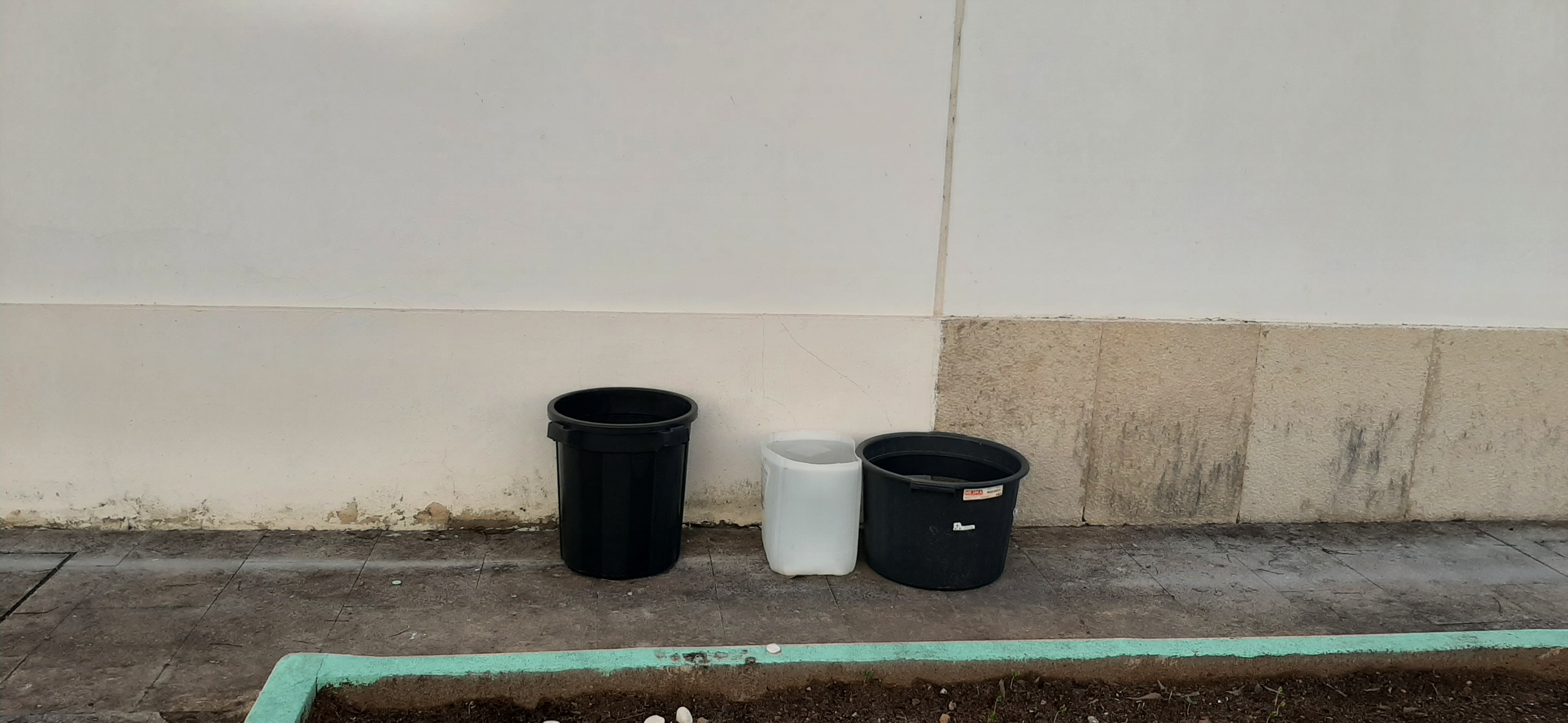 Captação de água da chuva e borras de café, utilizadas para regar e adubar