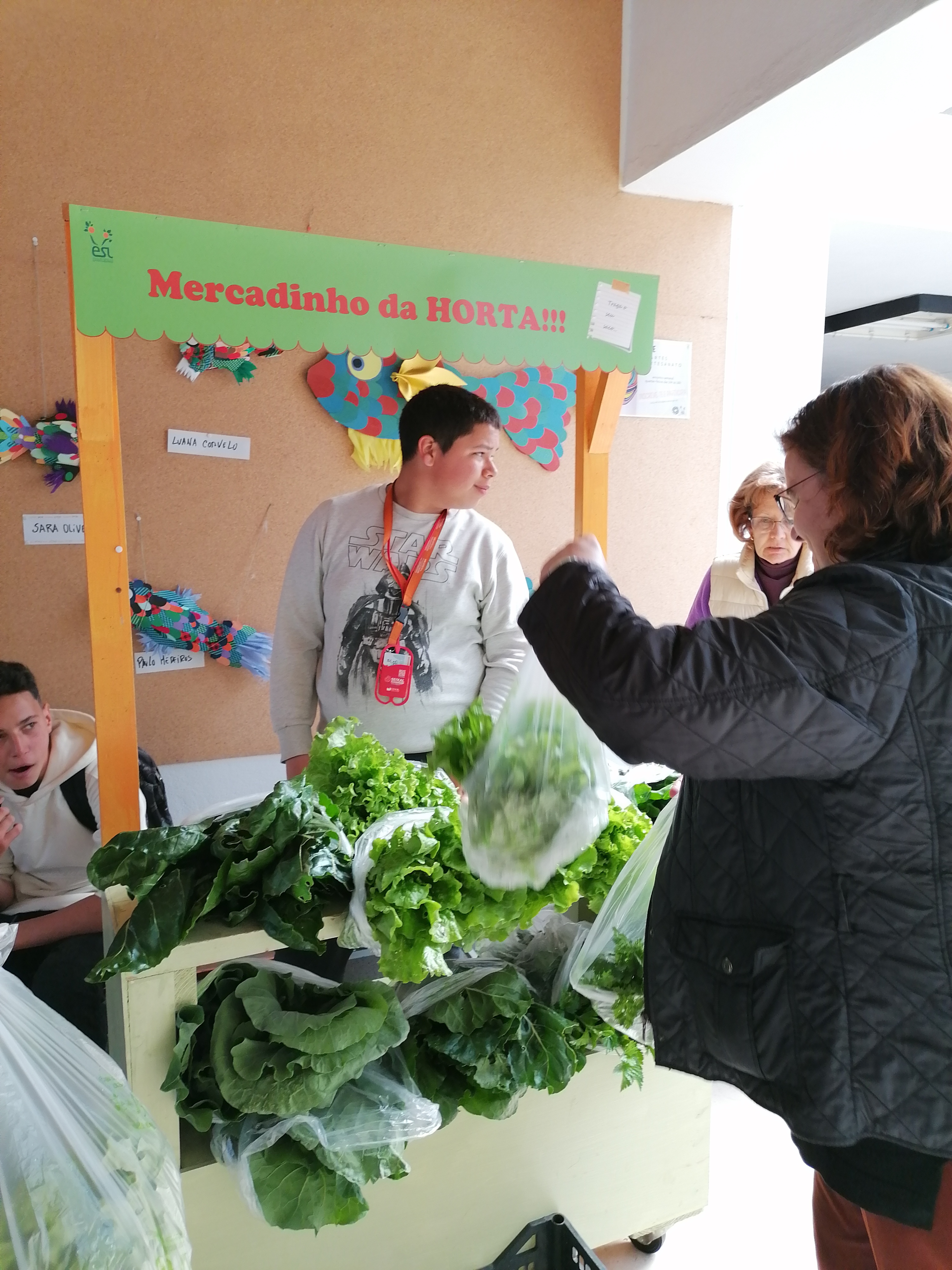 Exposição dos produtos da horta bio.