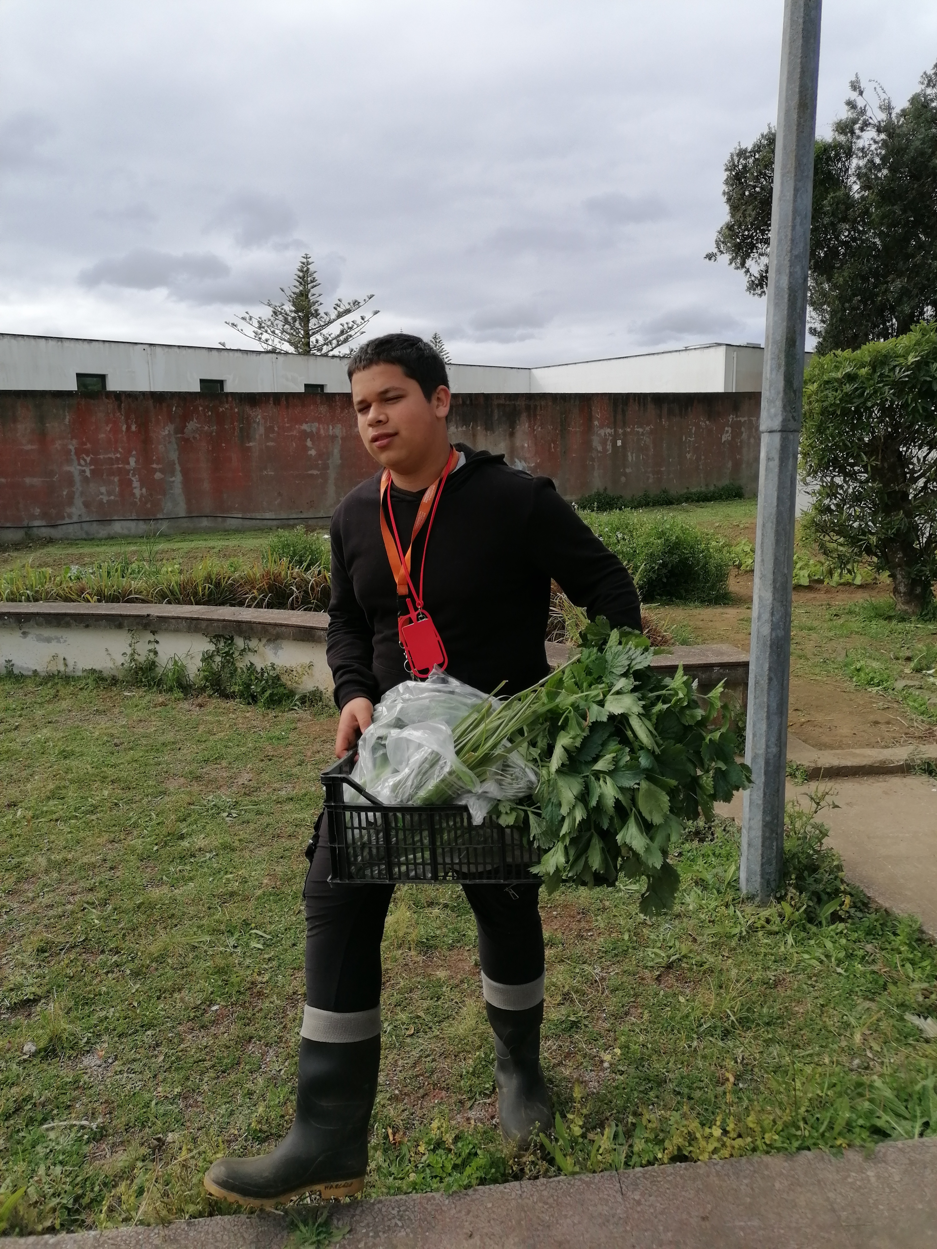 Produtos para confeção de sopas.