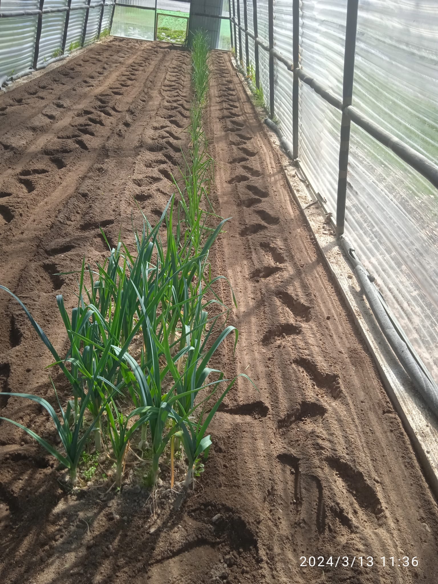Terreno preparado para novas colheitas