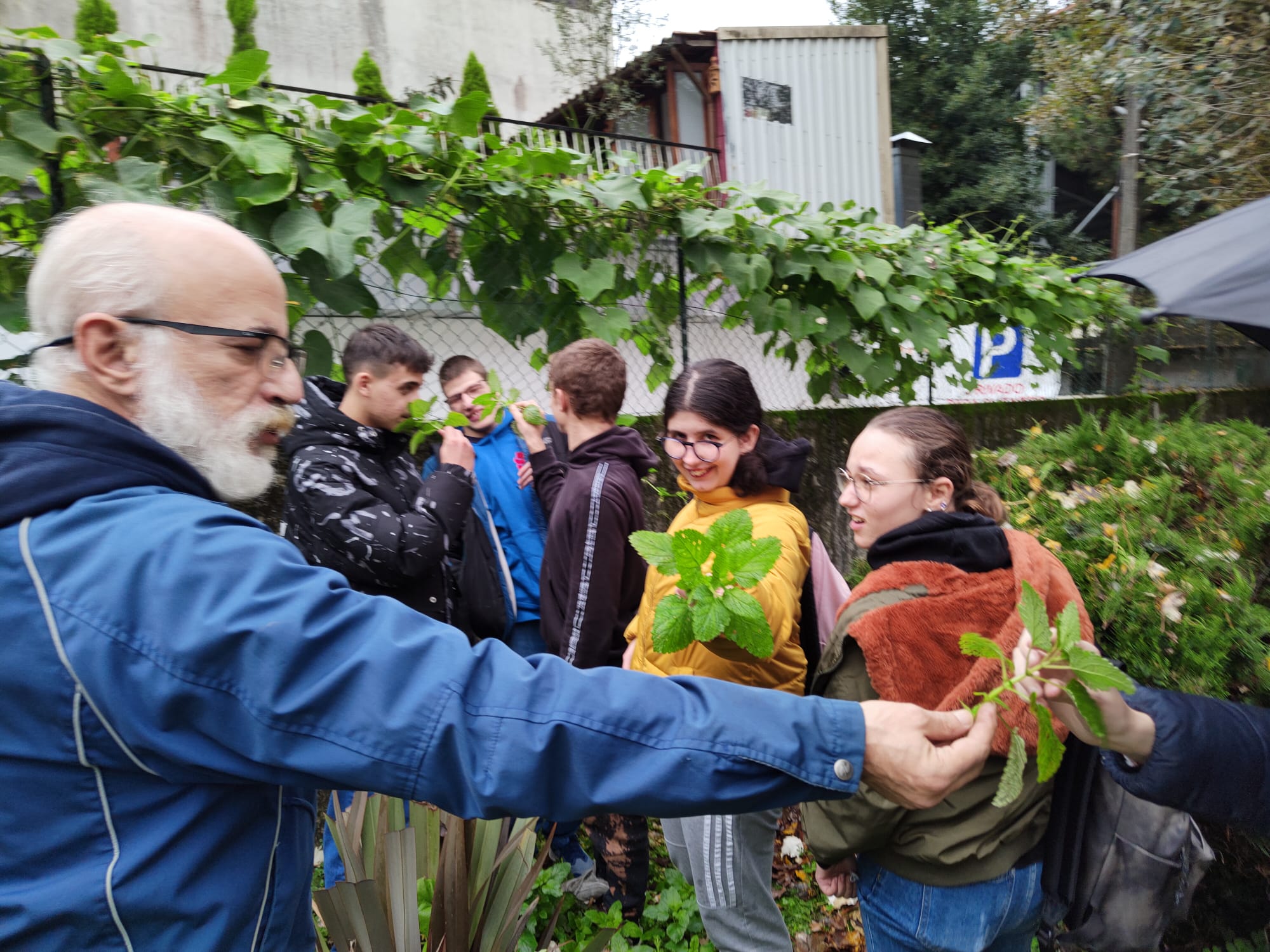 O professor Maurício Coutinho divulga a importância das plantas para a alimentação.