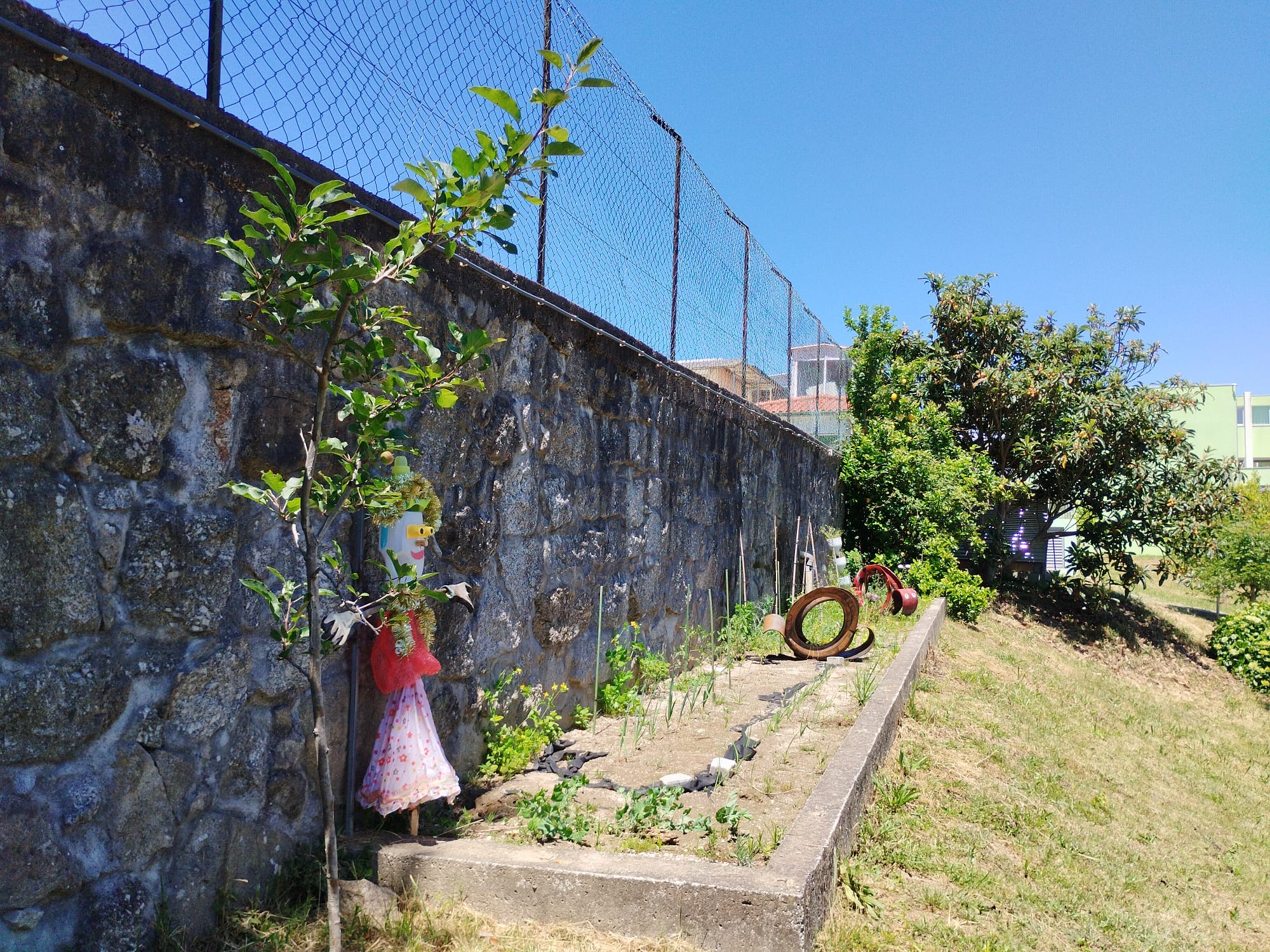 Vista geral da horta