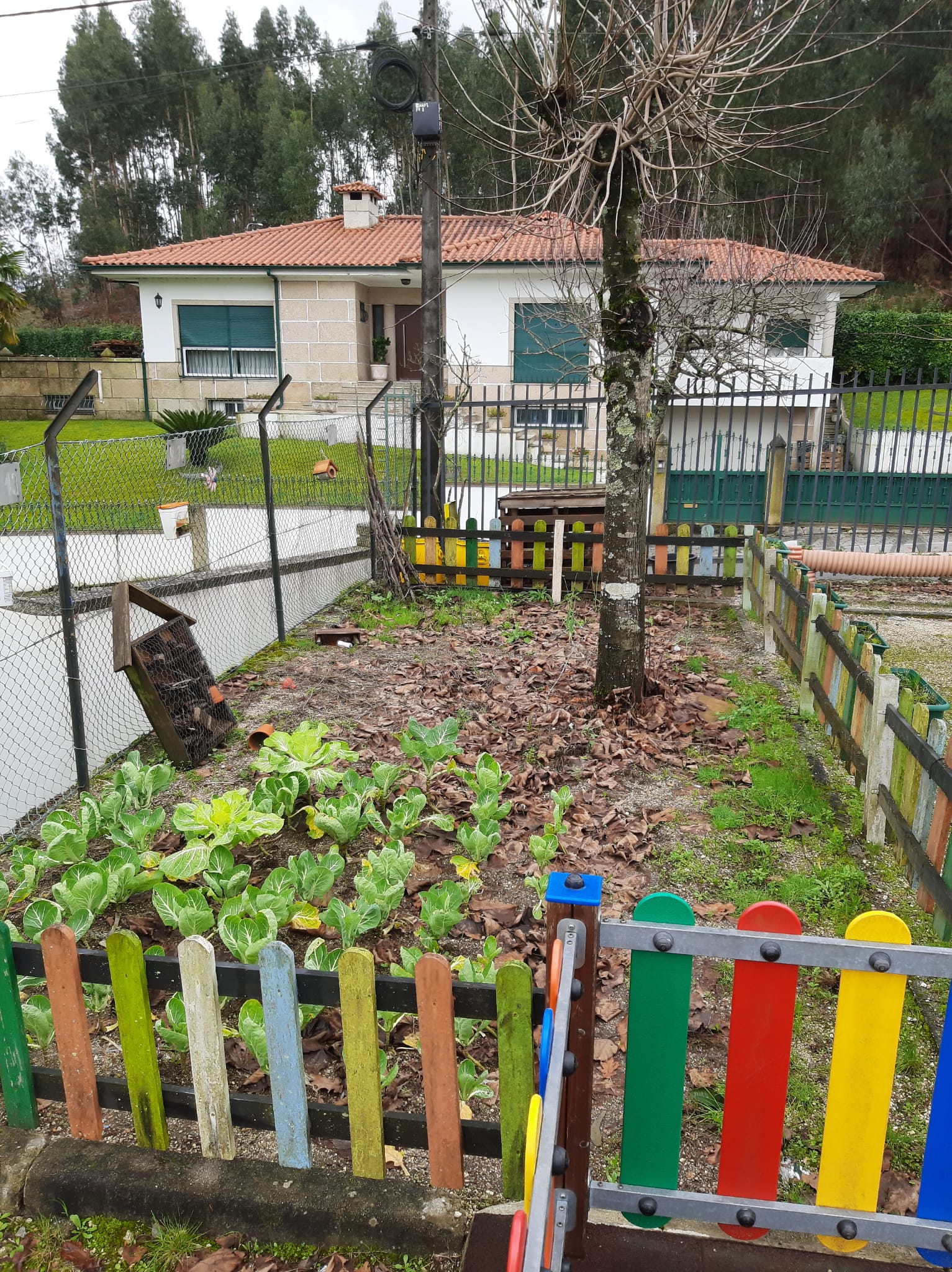 Vista geral da horta com compostor.