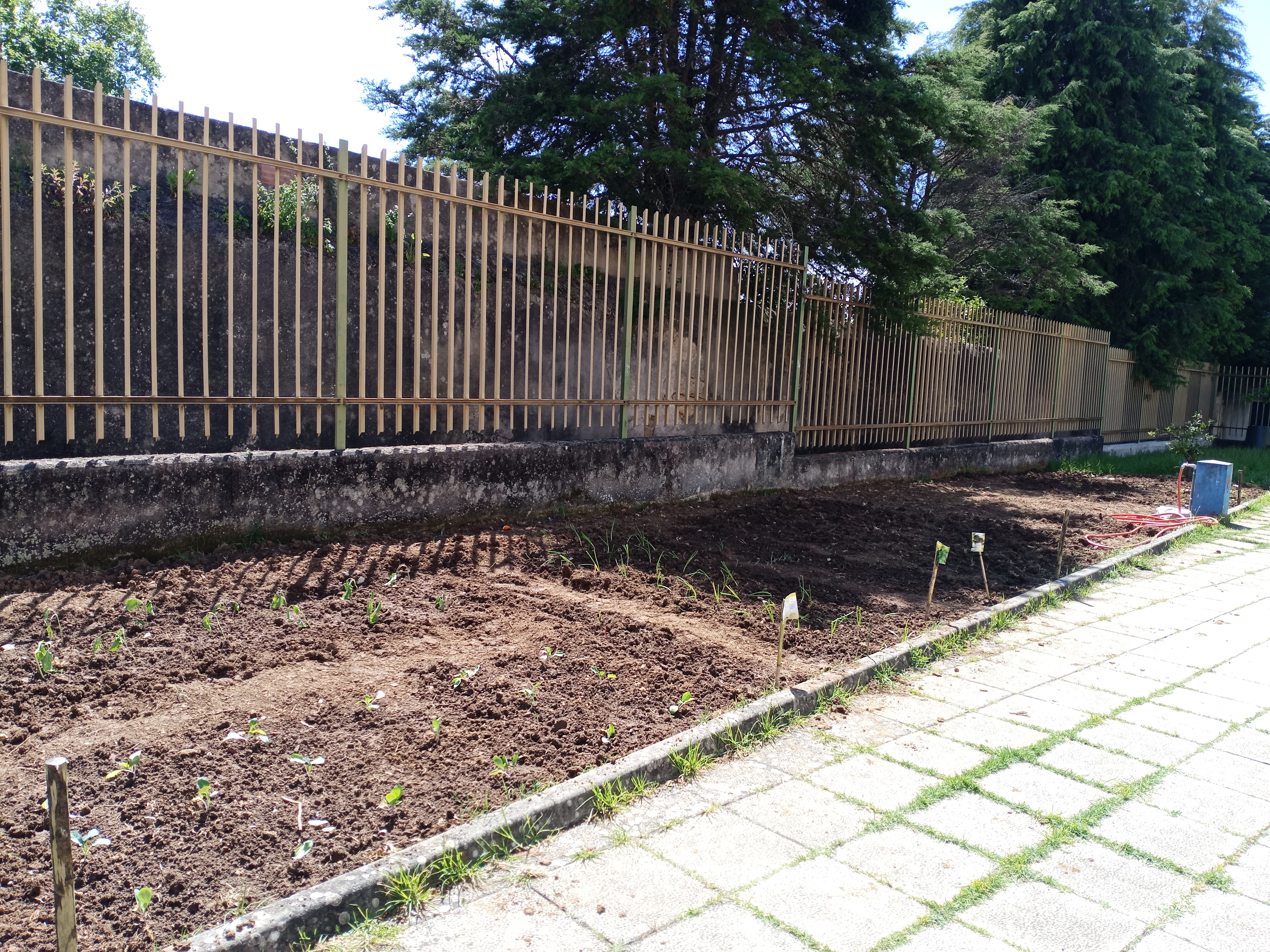 Horta EB2