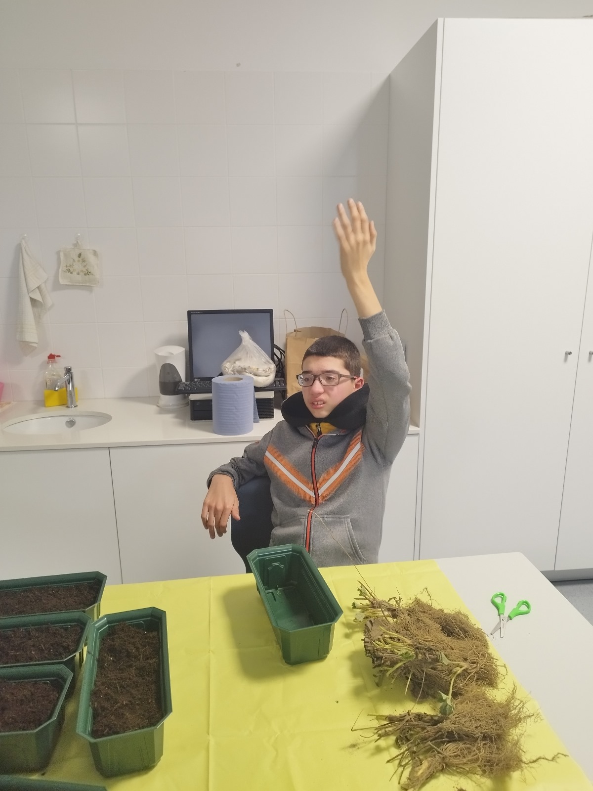 Preparação das sementeiras