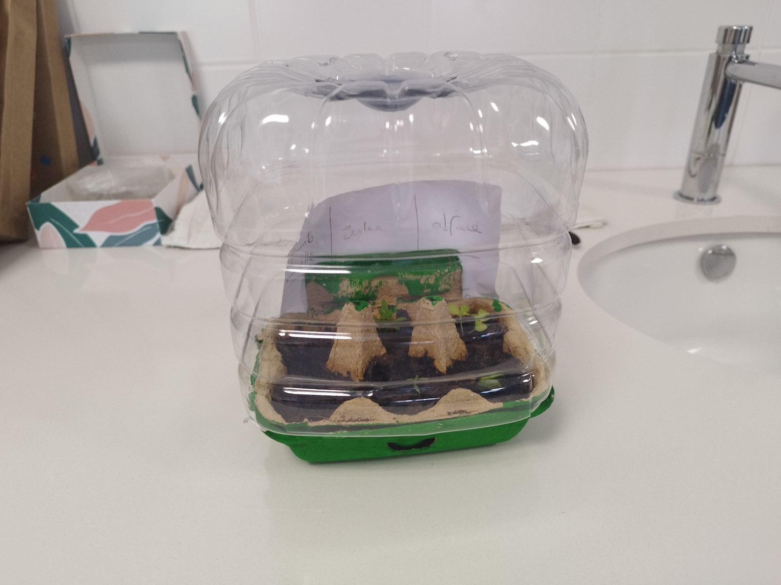 Mini estufa para a sala de aula