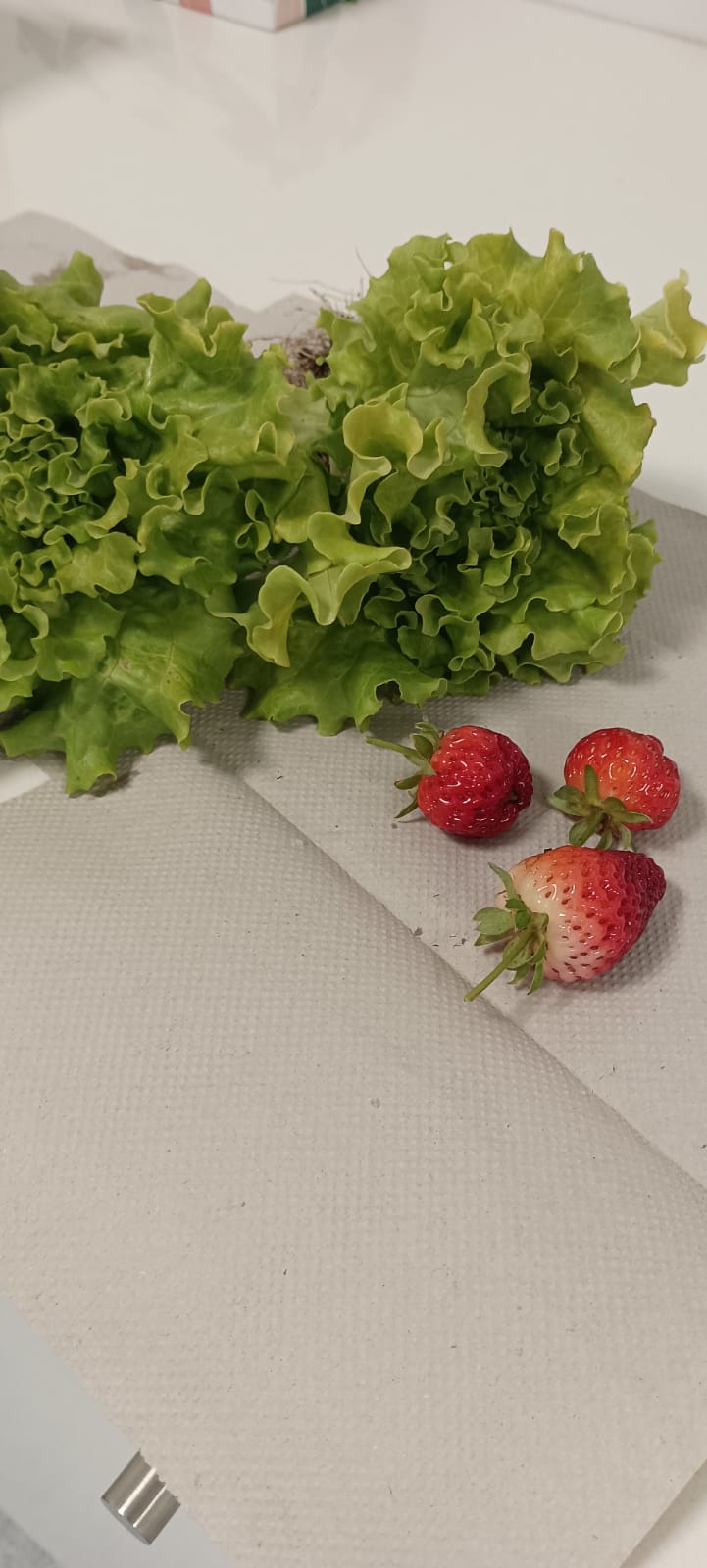 Produtos da horta