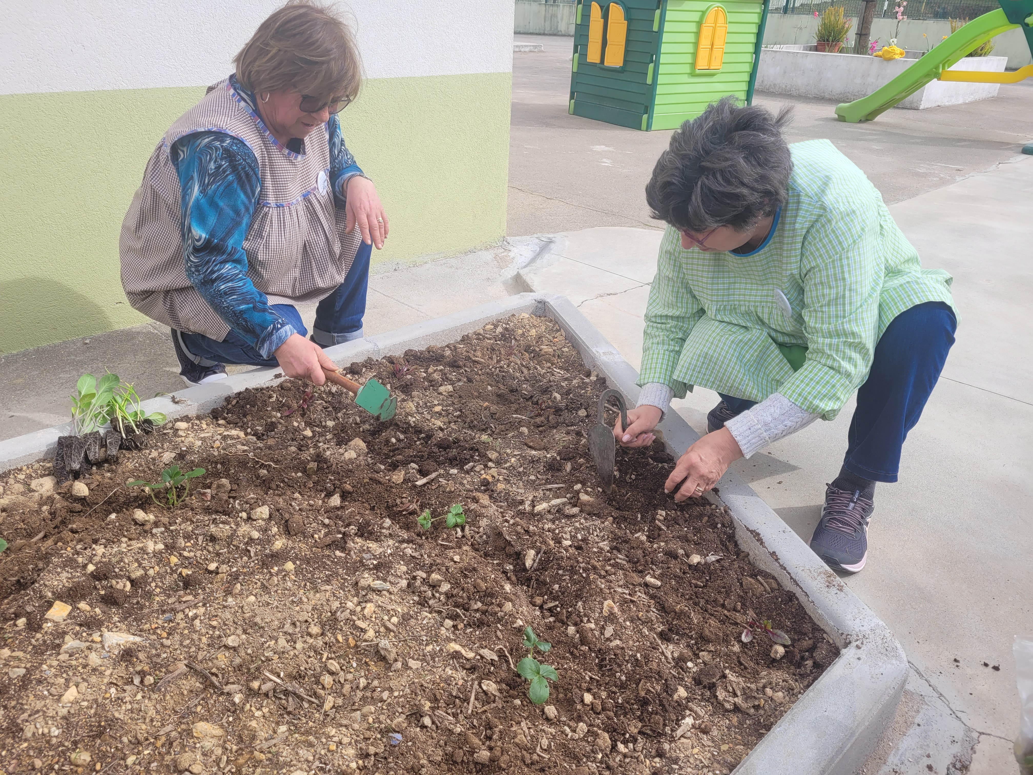 Plantações na horta
Com a ajuda de professores e assistentes operacionais, os alunos efetuaram plantação de morangueiros na horta.