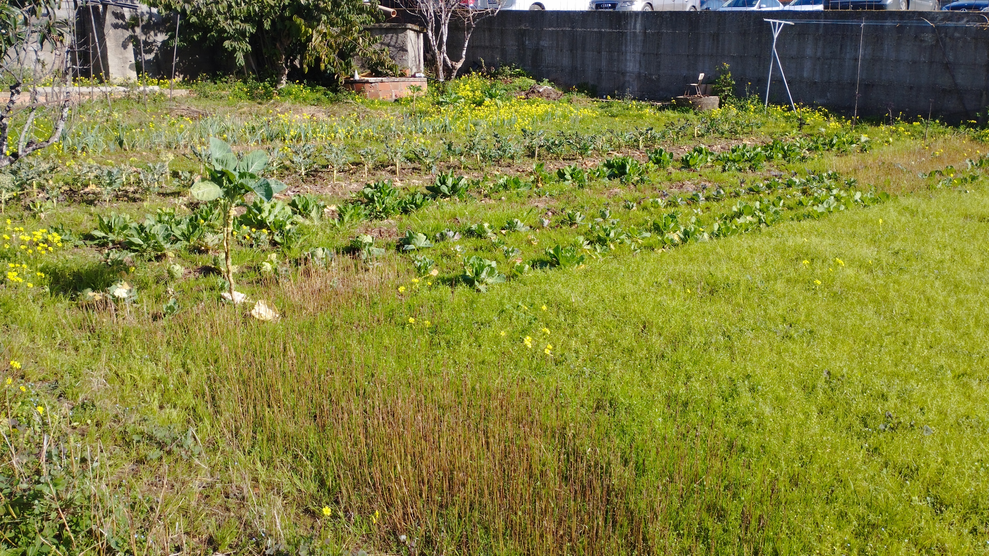 Espaço para a Horta