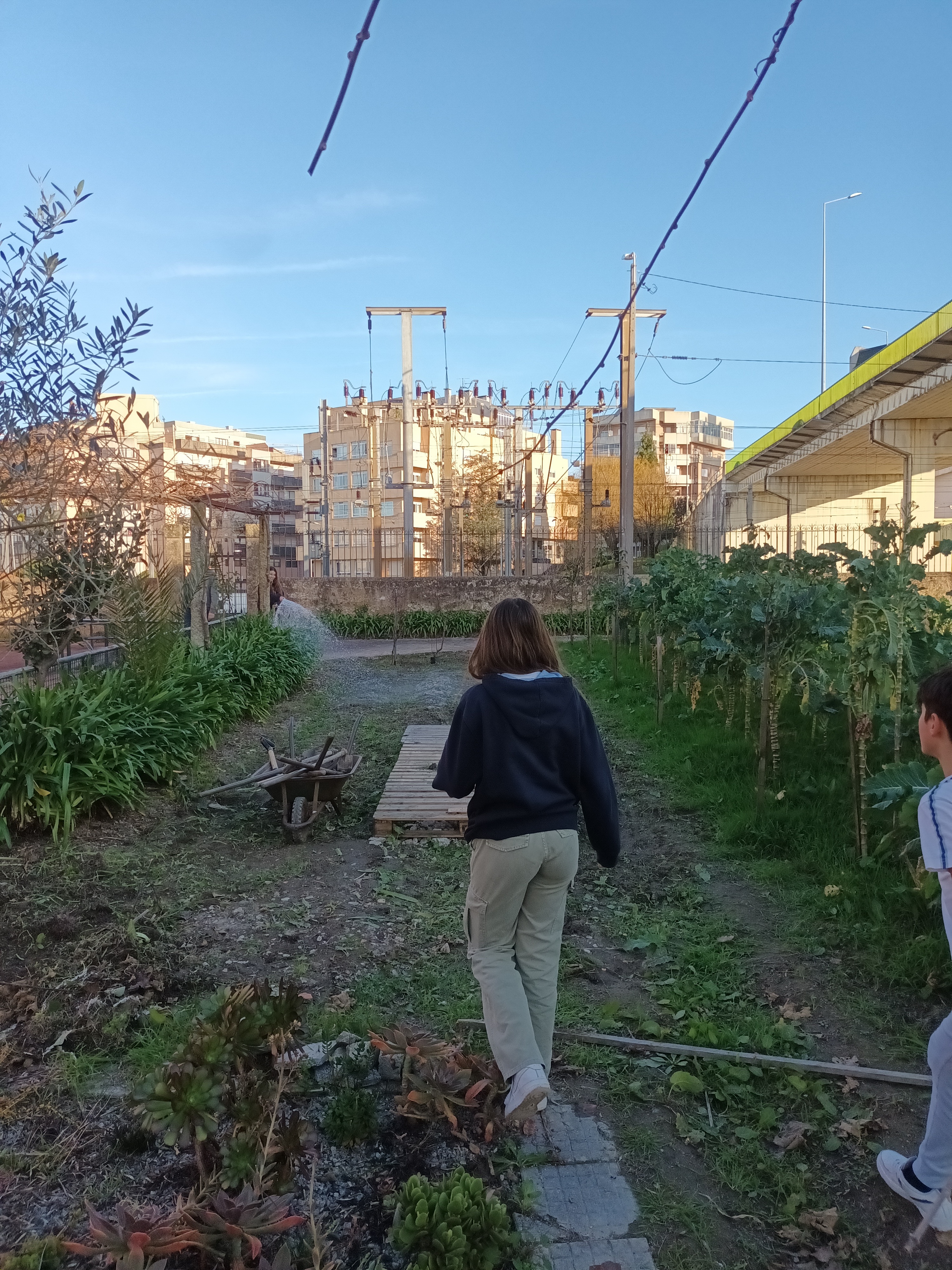 Construção das pallets base para a horta.