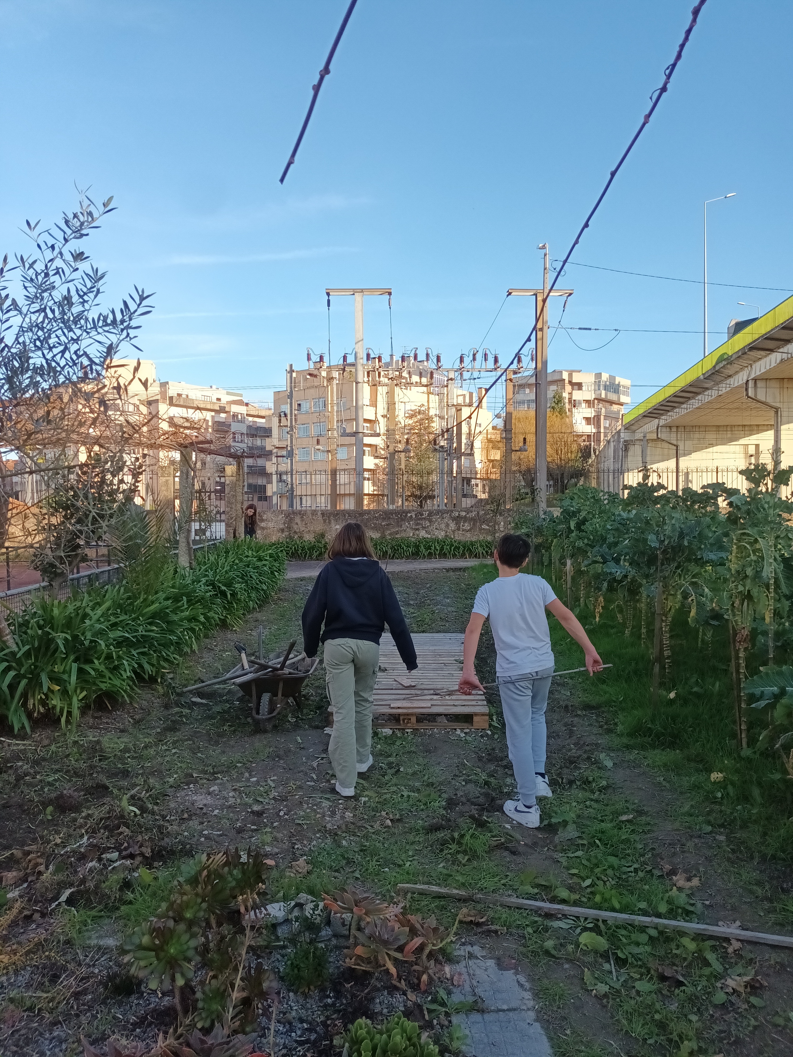 Construção das pallets base para a horta.