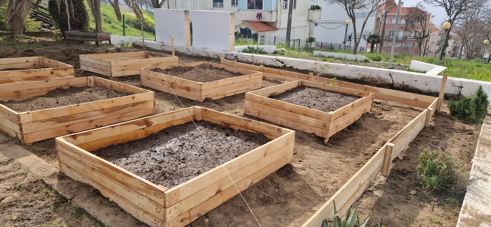 Construção dos vasos