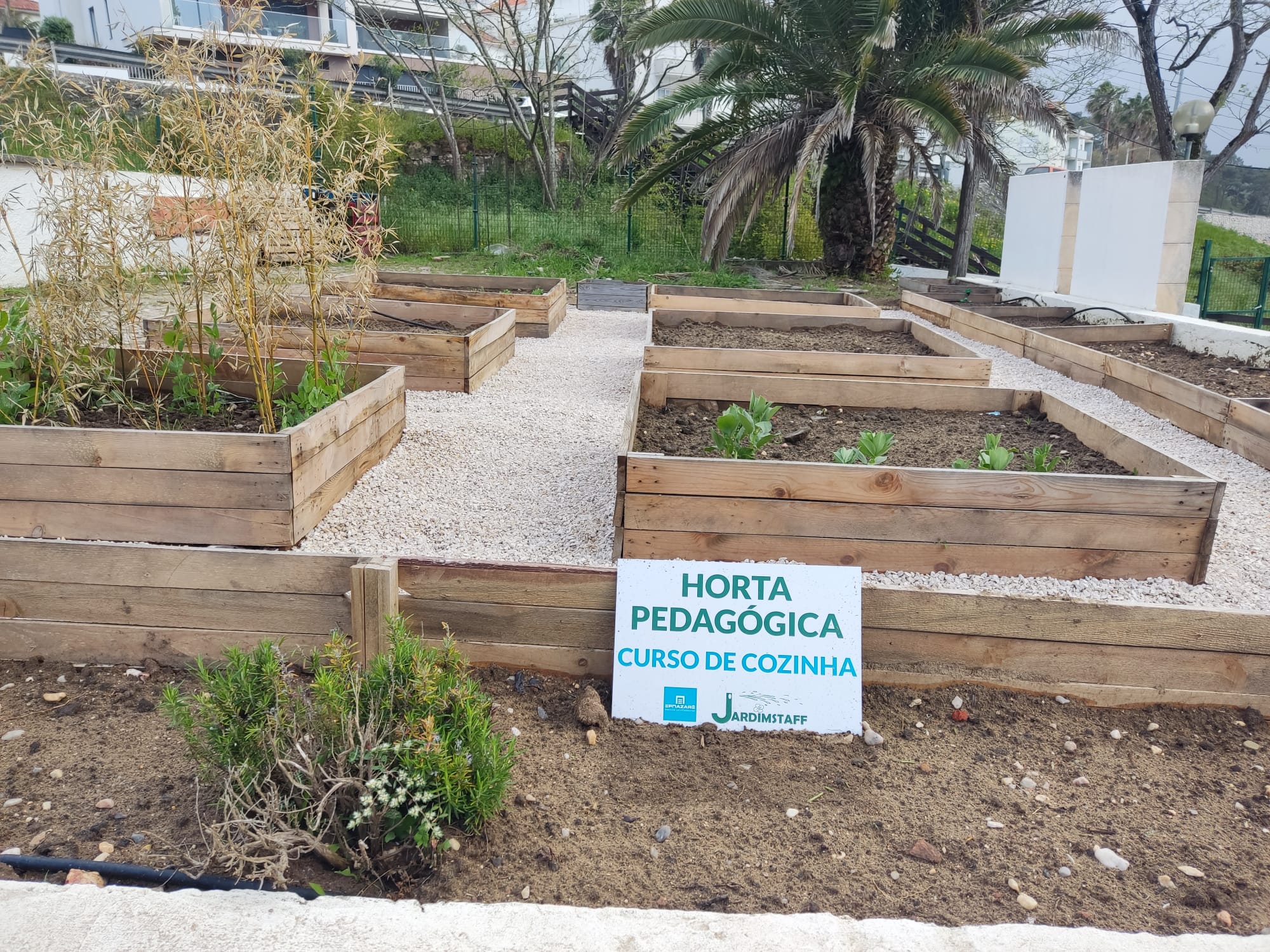 Parceria da horta pedagógica