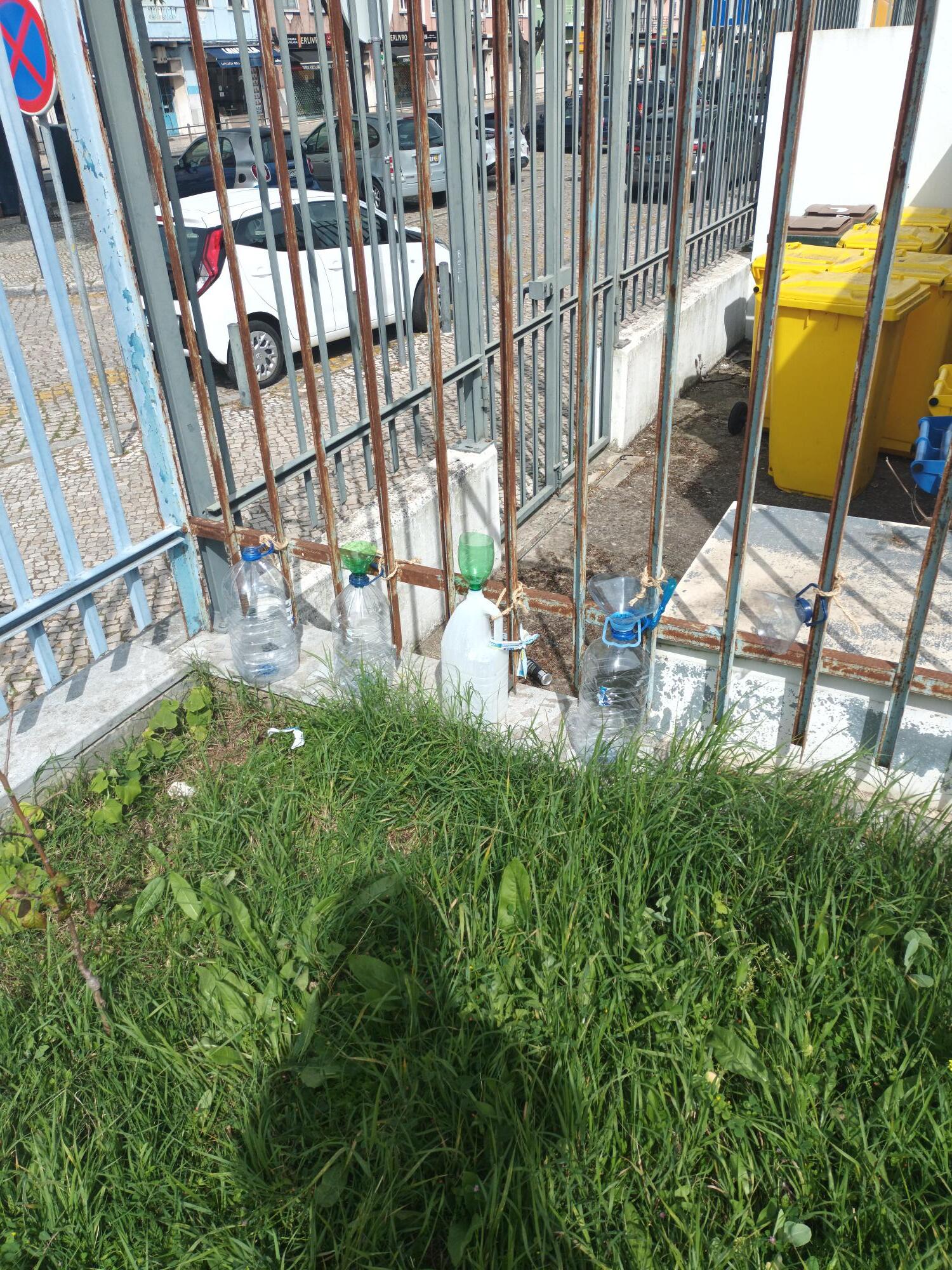 À esquerda vê-se as folhas do chuchu a propagar para fazer o muro vivo, virado para a rua e em frente folhas de couve, nomeio da erva que já tinha crescido. Os garrafões são pluviómetros.