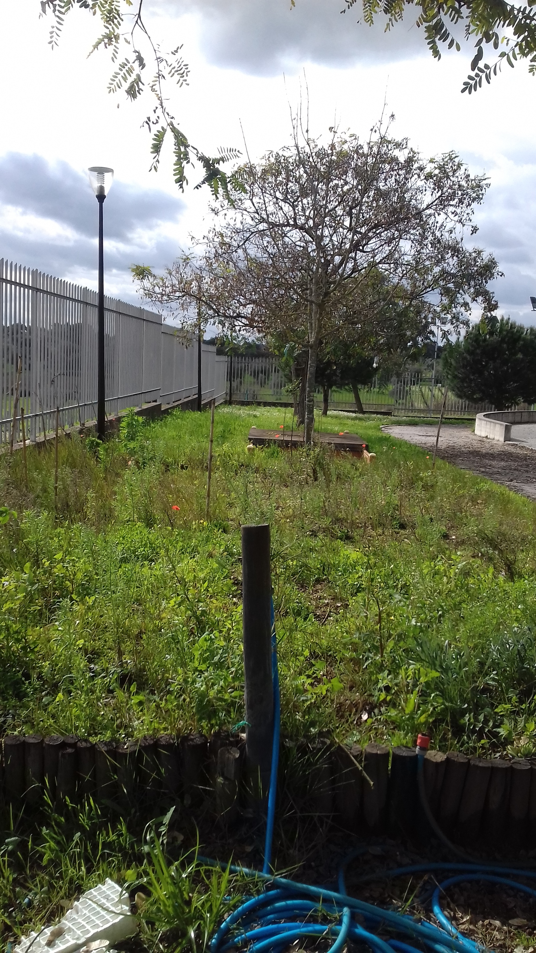 Nesta altura do ano, ainda não tínhamos iniciado os trabalhos na horta.