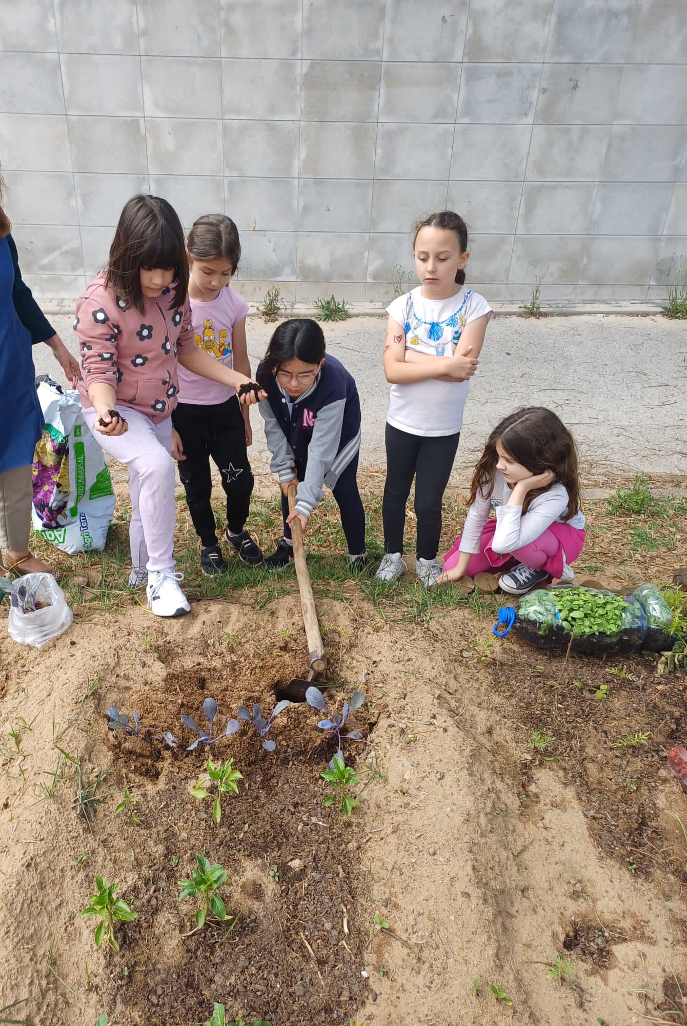 Plantações