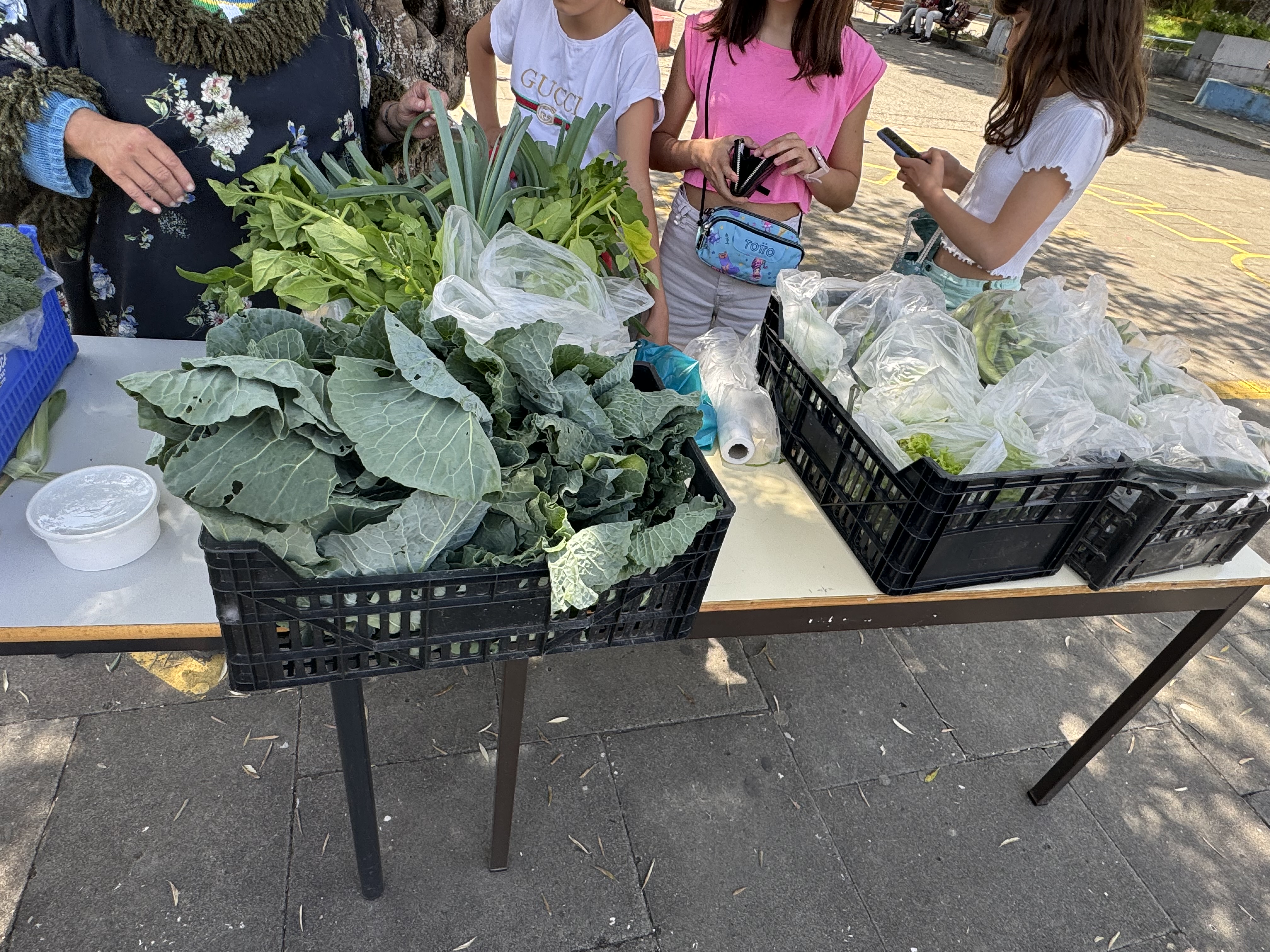 Feira dos produtos Biológicos