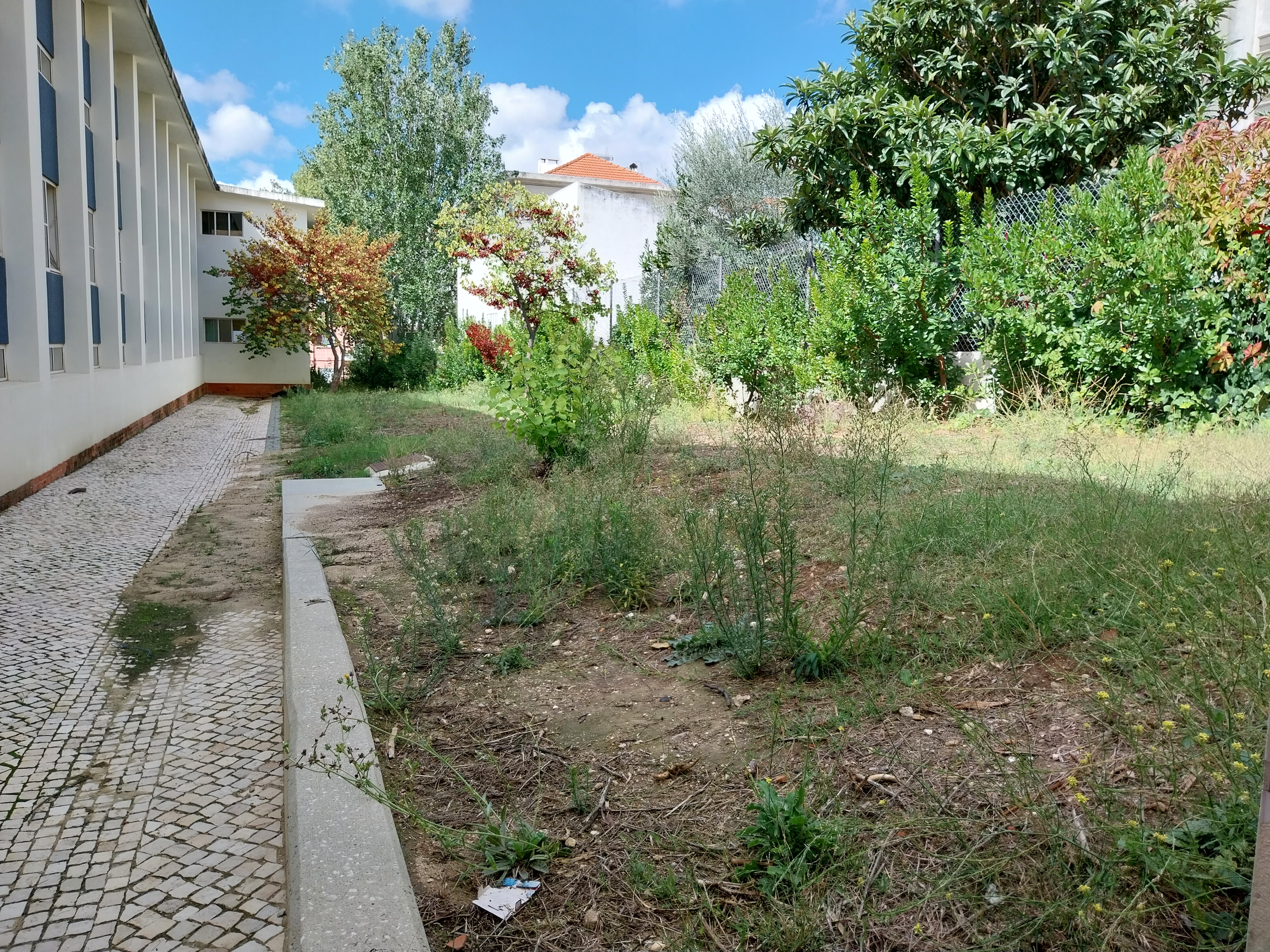 Zona para expansão da horta. Por acordo entre a escola e a Associação de pais foi decidido expandir a área de horta existente para o dobro. Esta zona será preparada em breve.