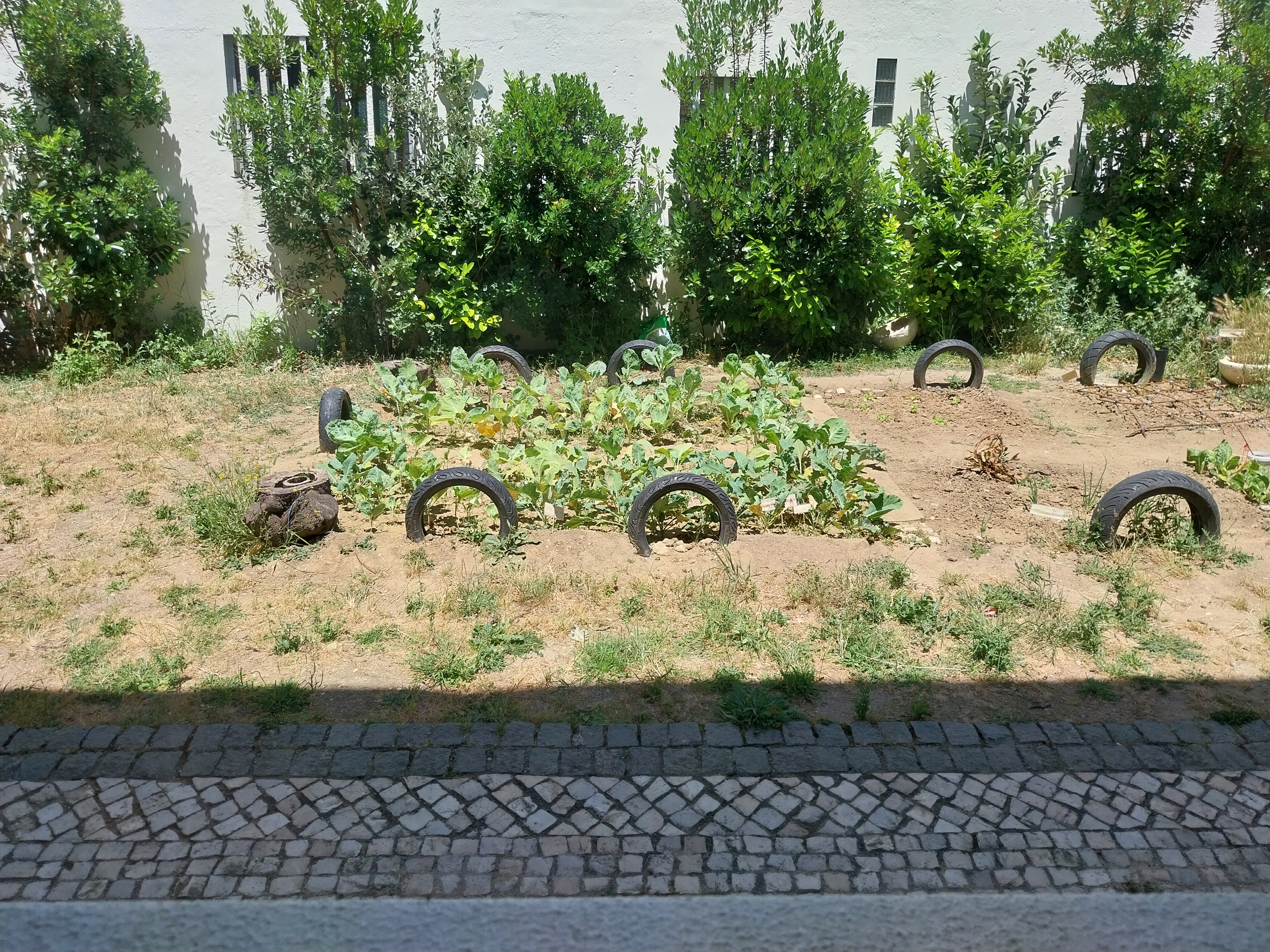 Plano geral da zona de expansão da horta