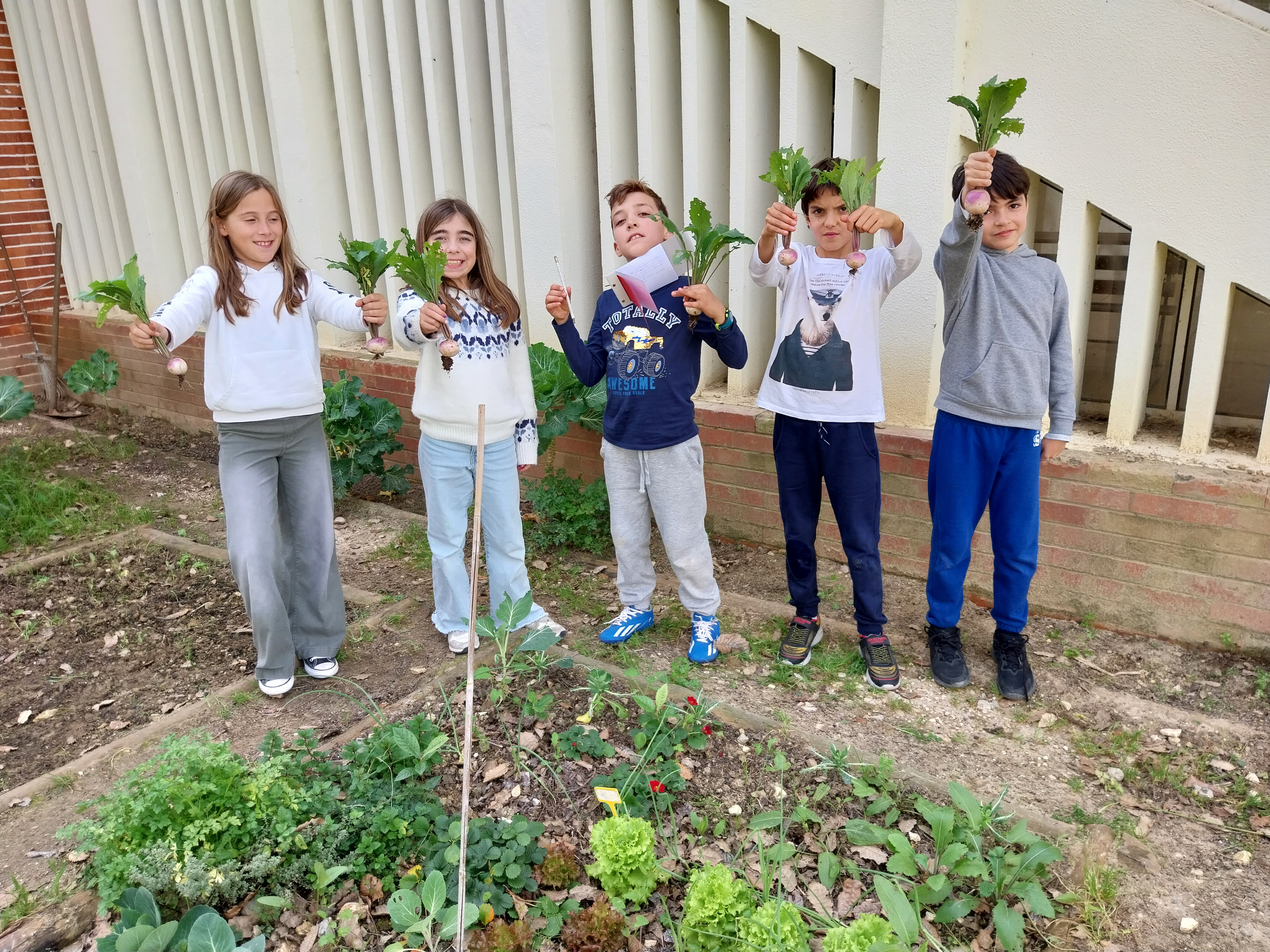 Grupo de alunos após colheita de alguns alimentos