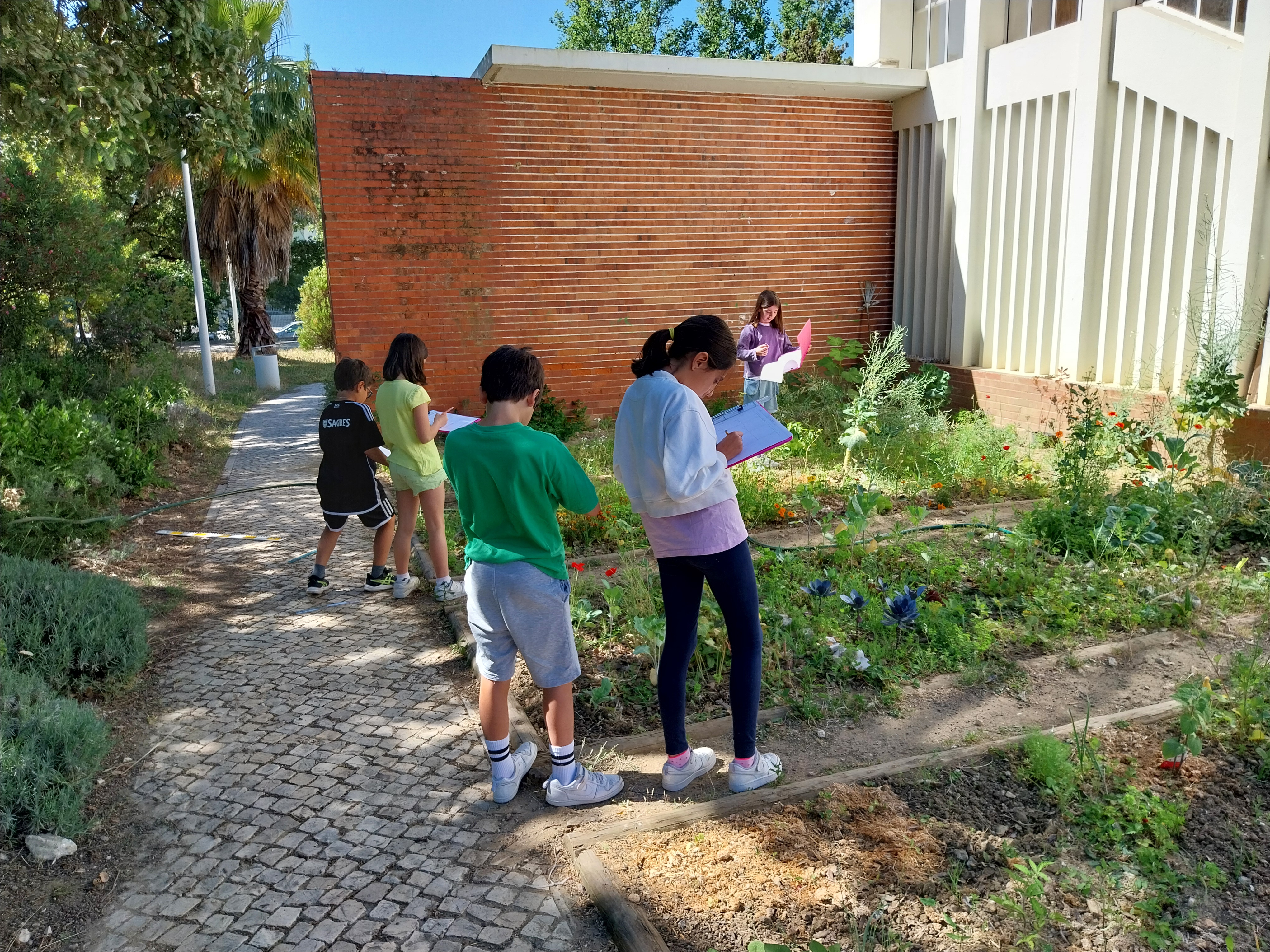 Observação do estado de desenvolvimento das culturas e registo para comunicar à turma
