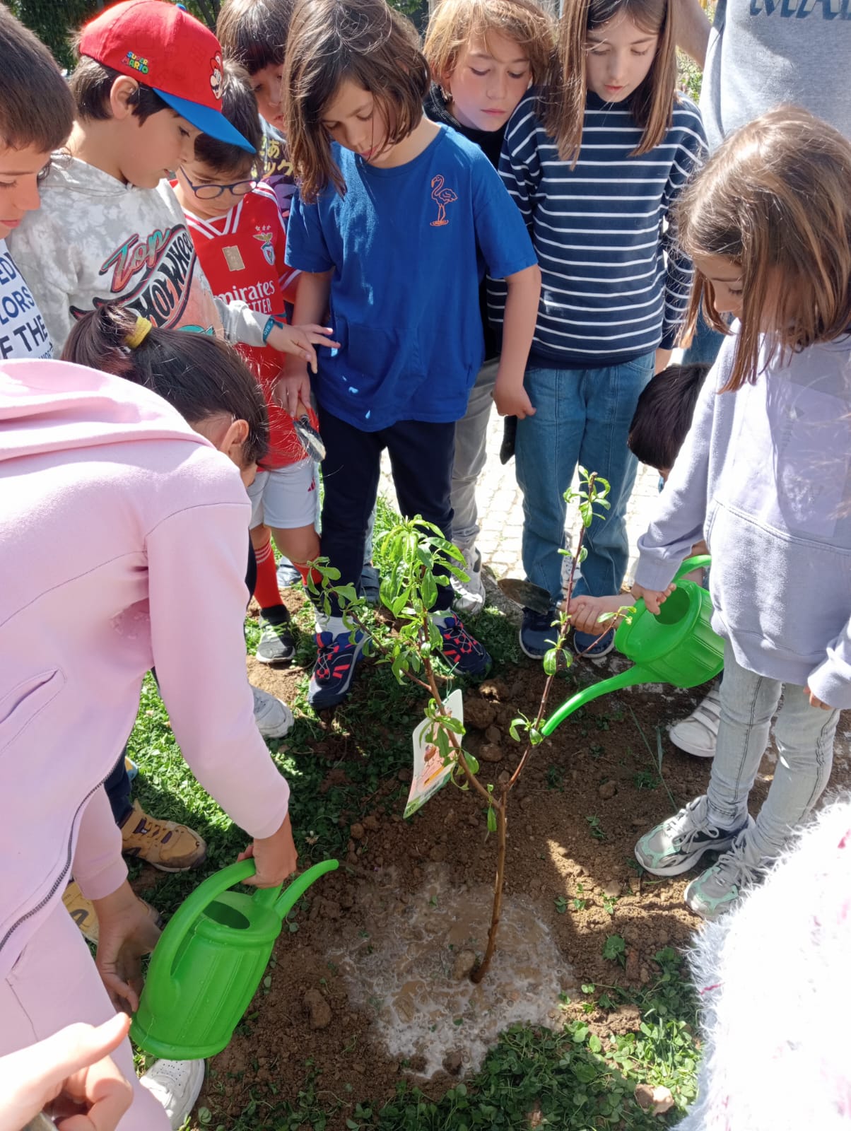 Plantação de uma das árvores na zona adjacente da horta