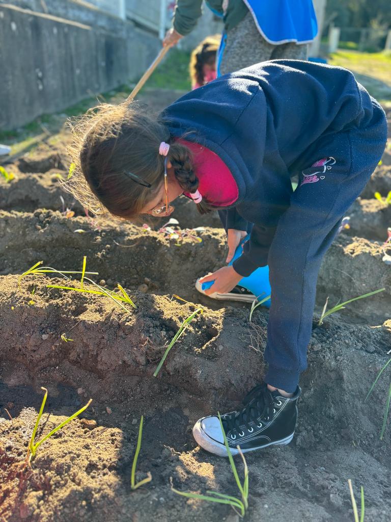 Plantação e reconhecimento das espécies plantadas. Diálogo sobre os cuidados a ter para um crescimento saudável das mesmas.